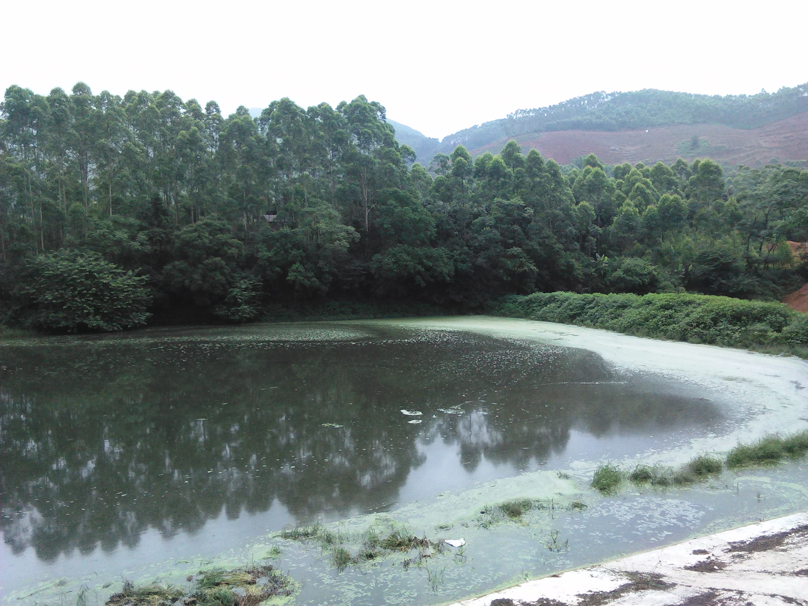 木棉塘水库