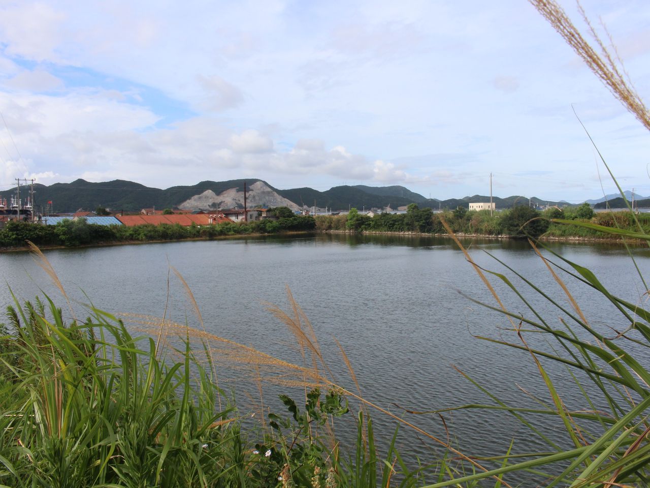 后沙头平地一号水库