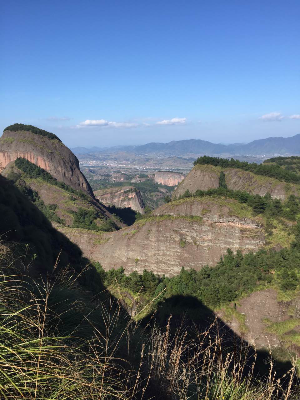 卧虎藏威