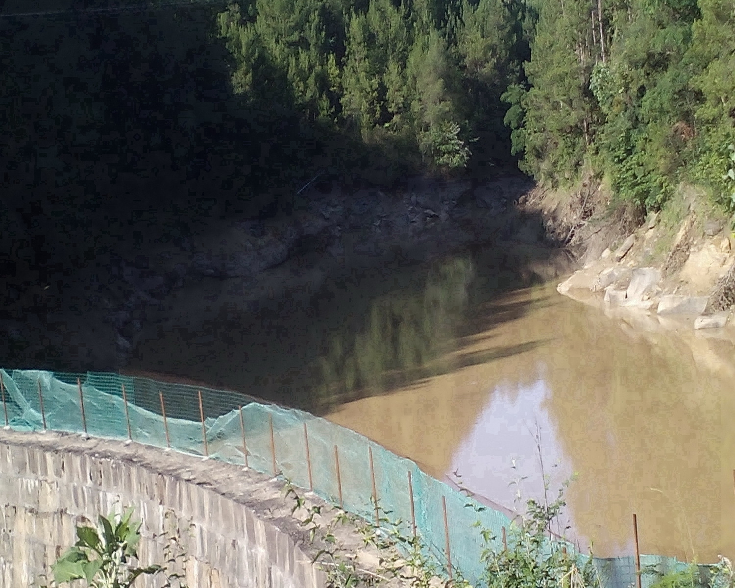 鲤鱼岩水库