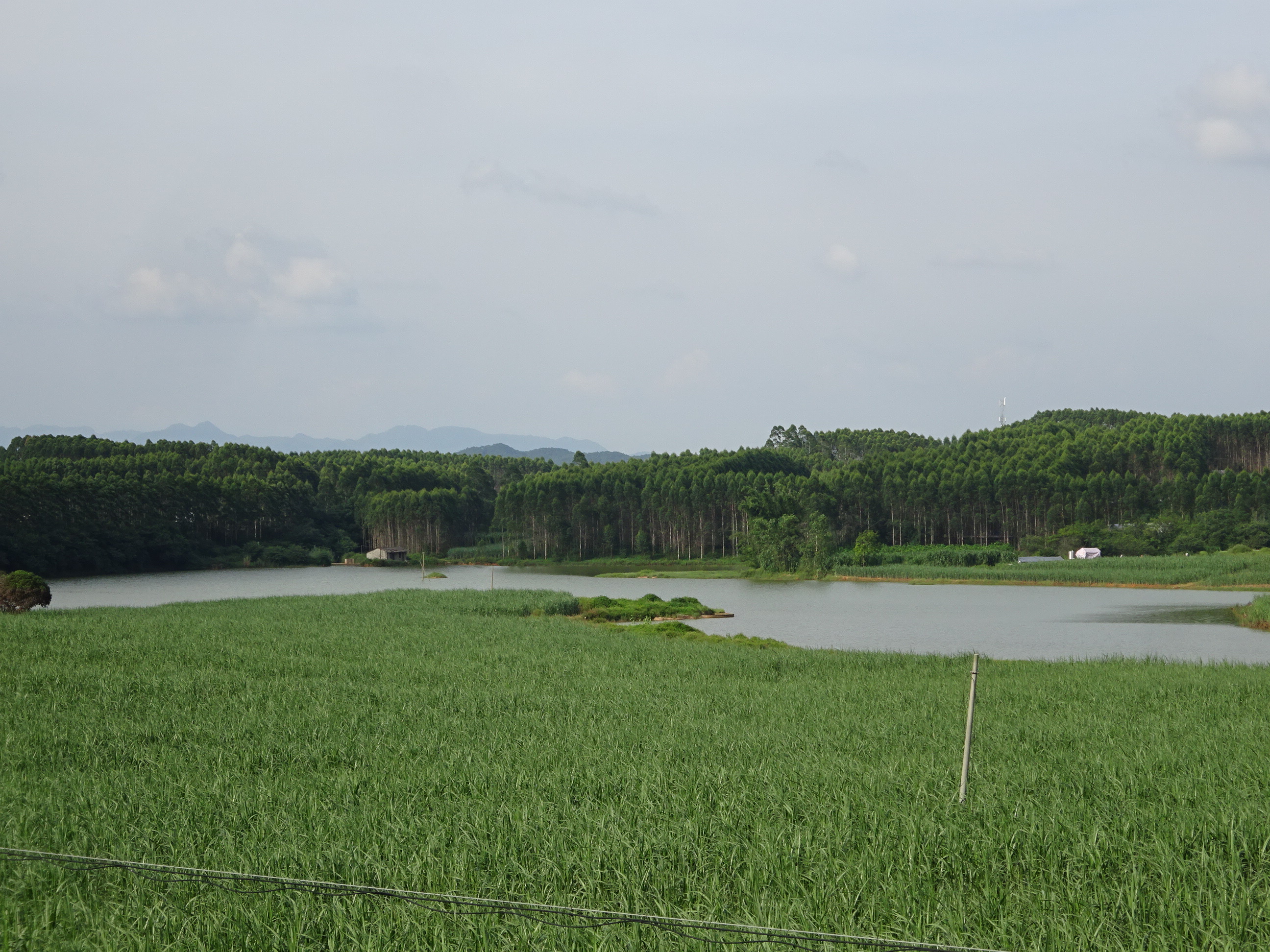 盆塘水库