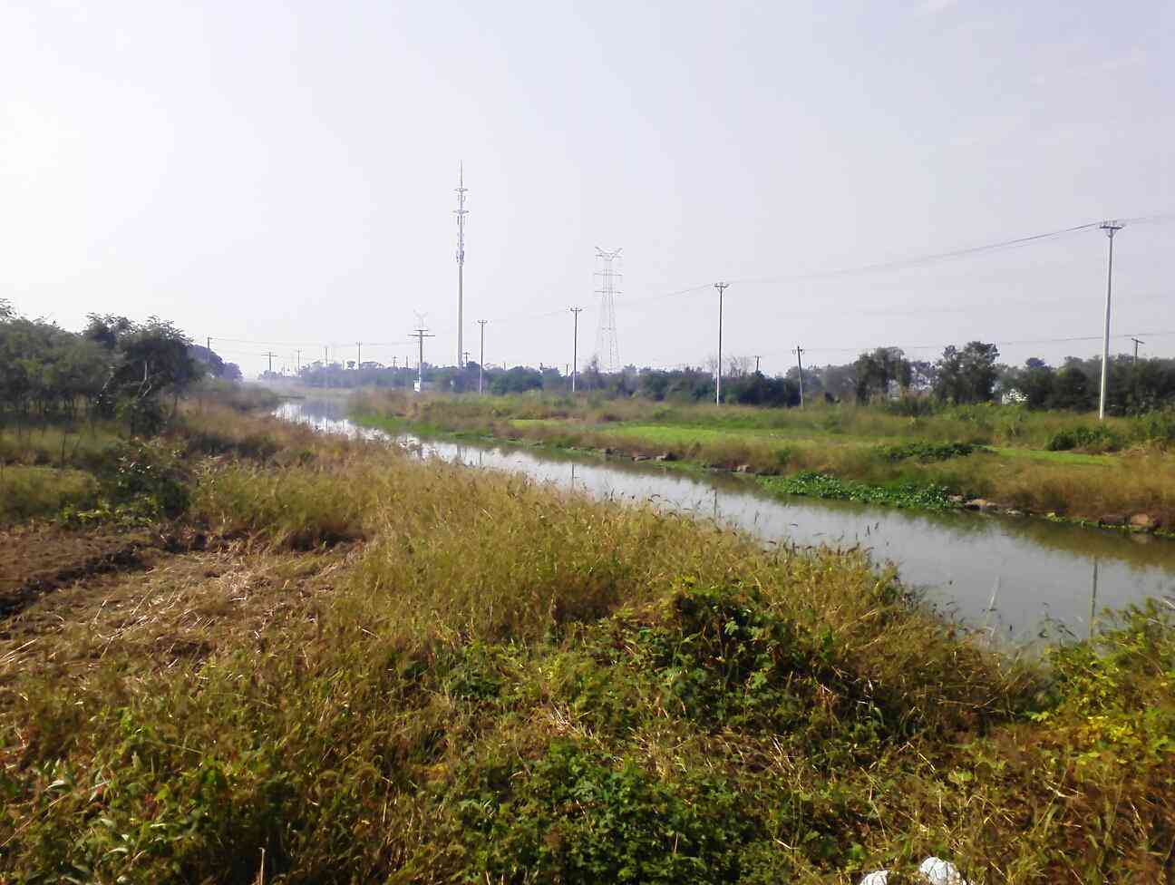 圩内横草路