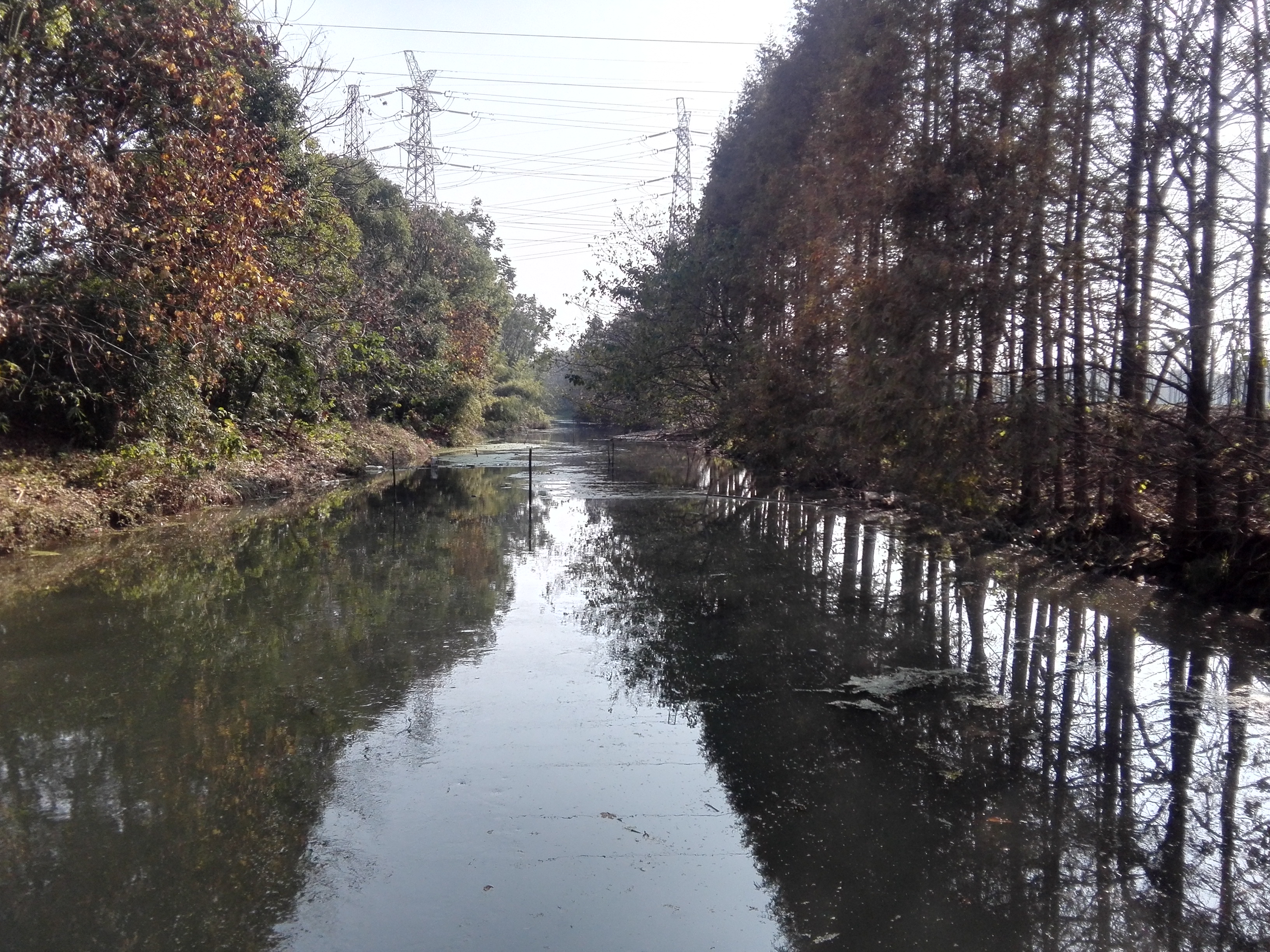 正义村西新河