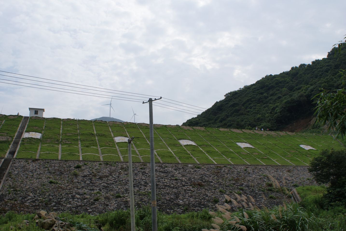 黄龙坑水库