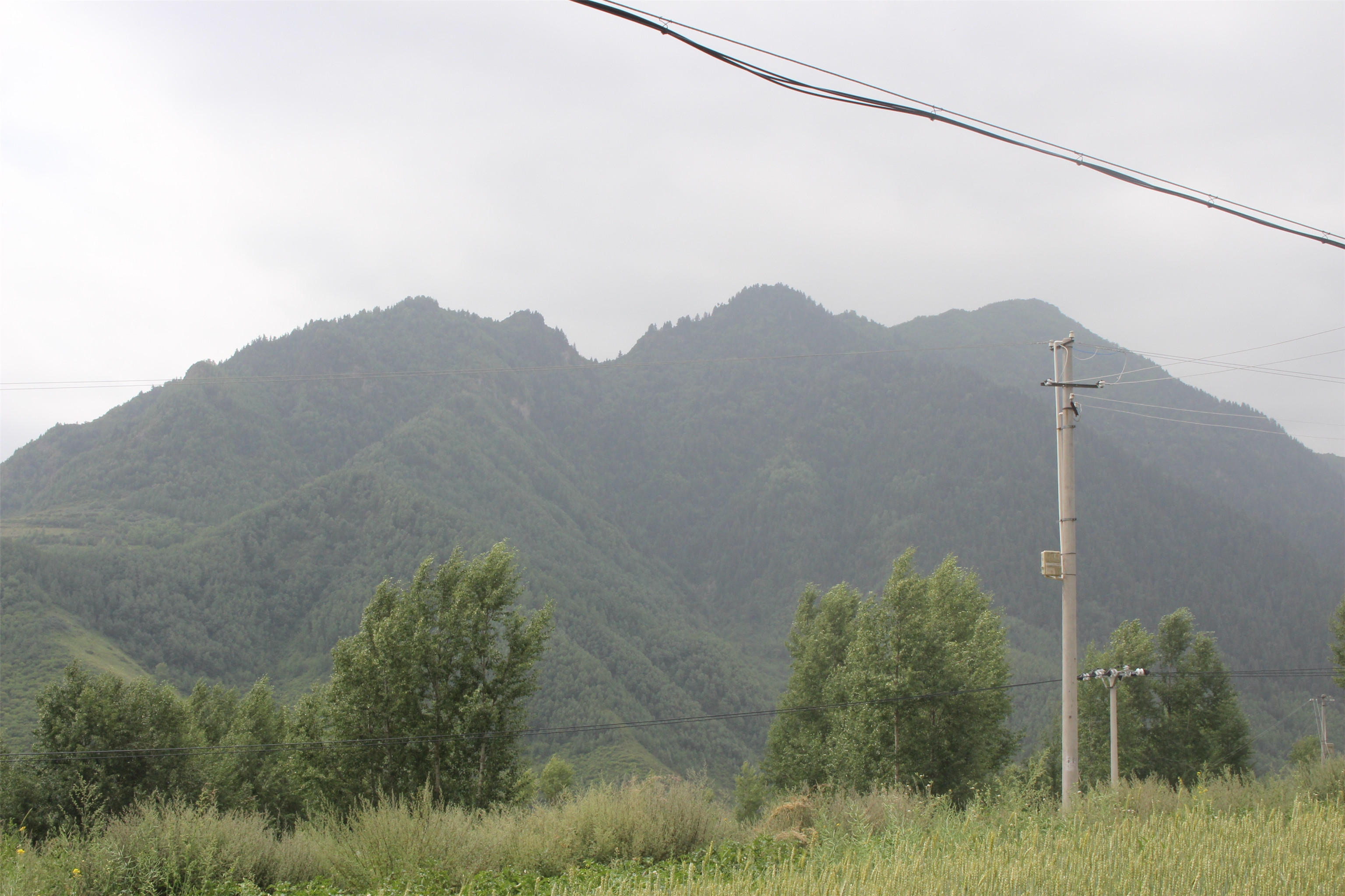 松山原始森林风景区