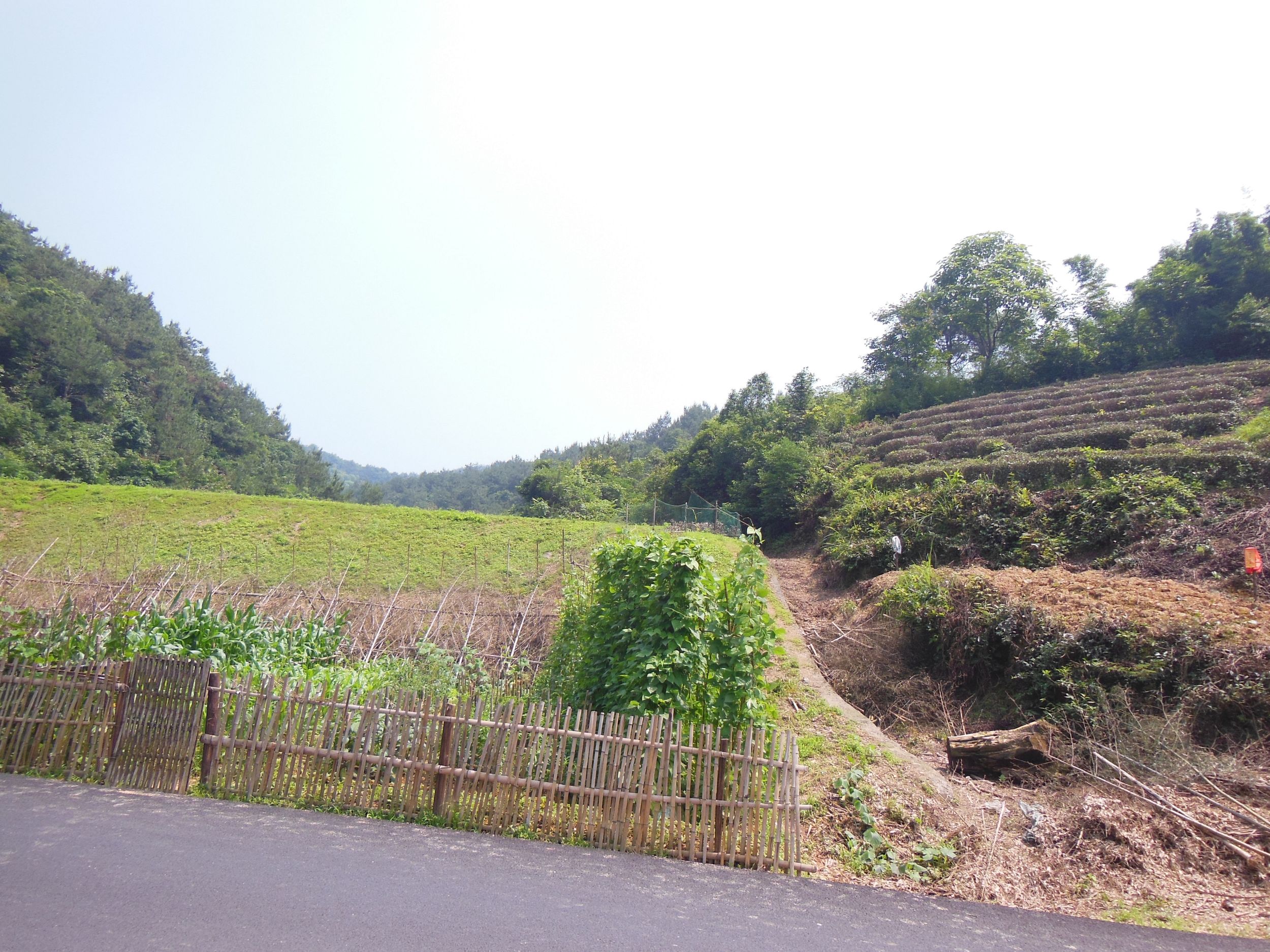 龙子坞水库