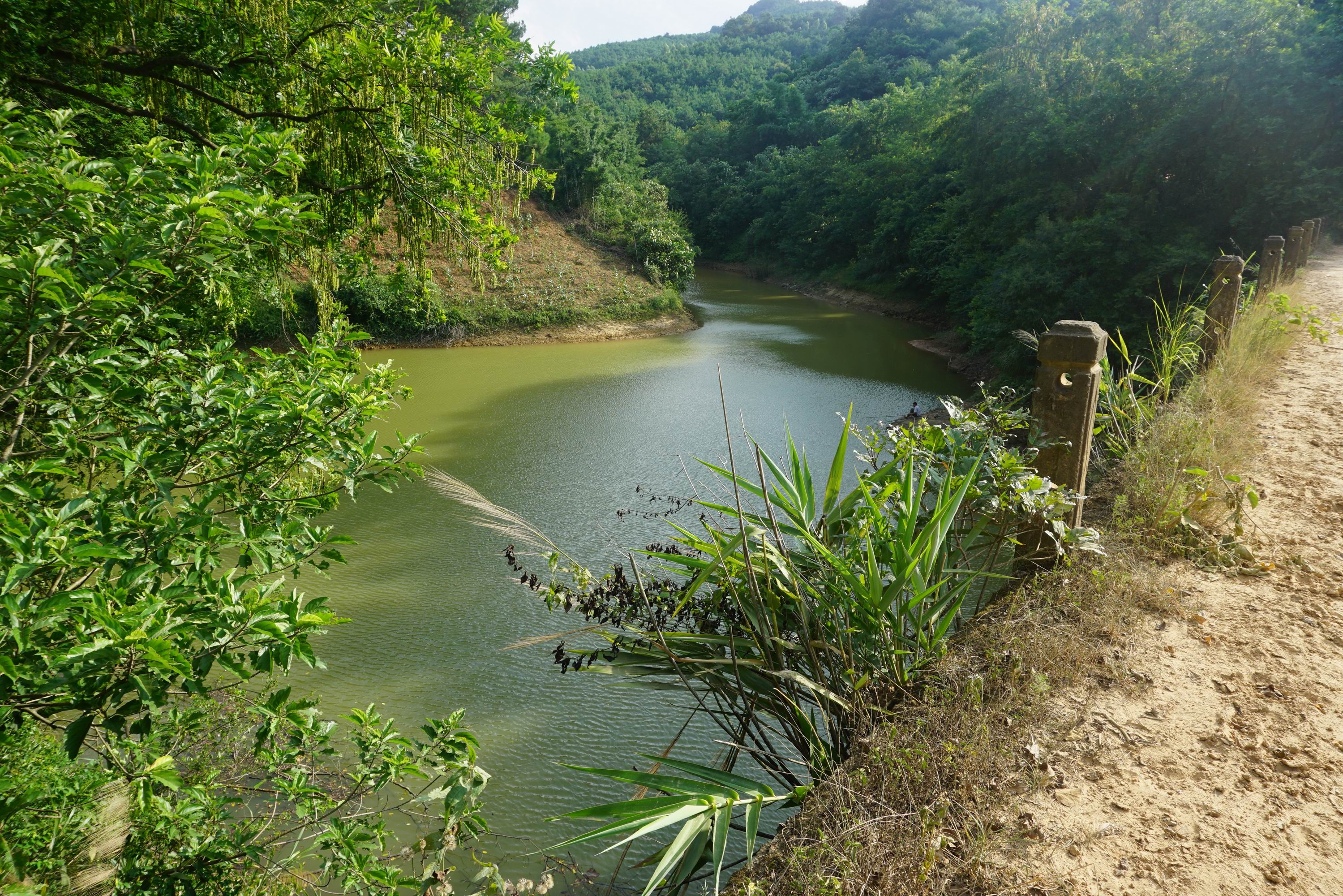 紫胶林场水库