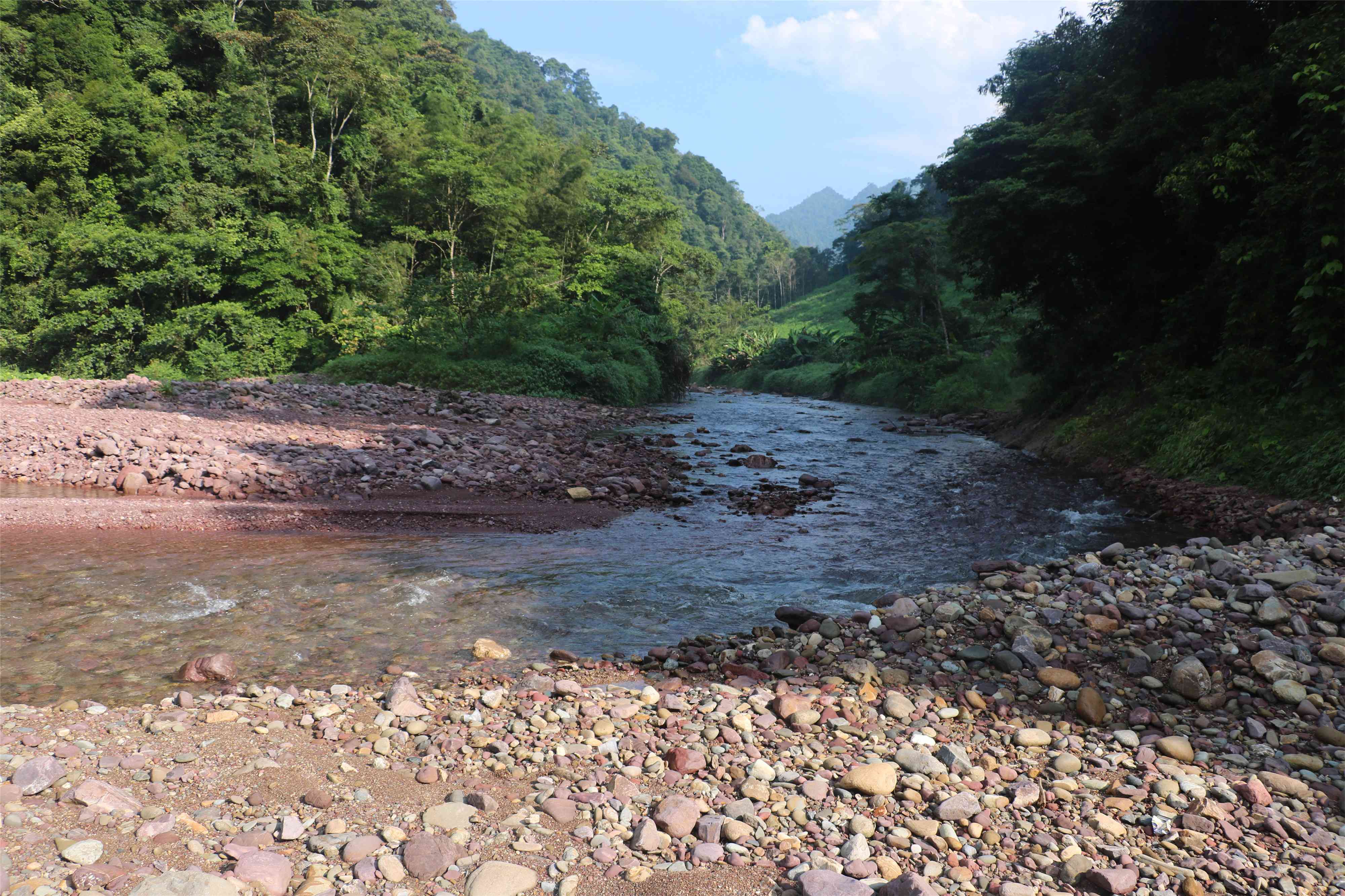 小白竹河