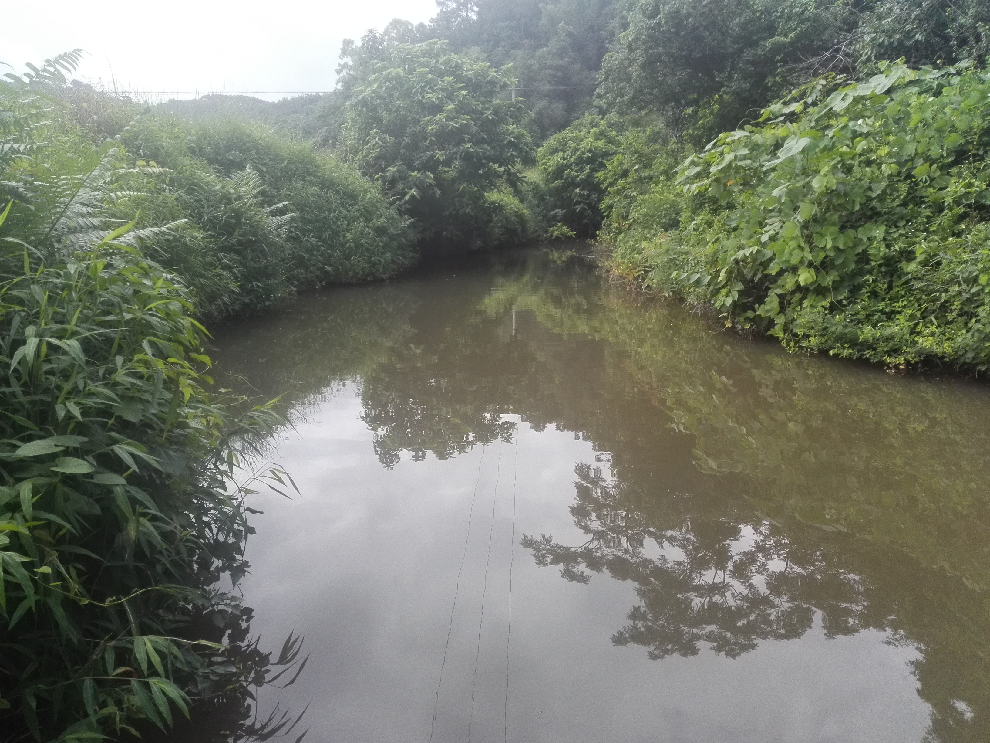新圩河