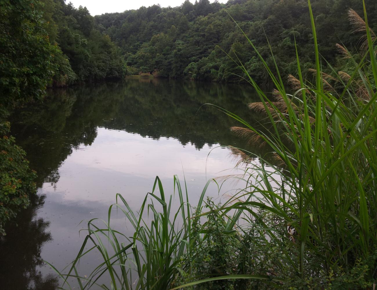 毛山突水口自然保护小区