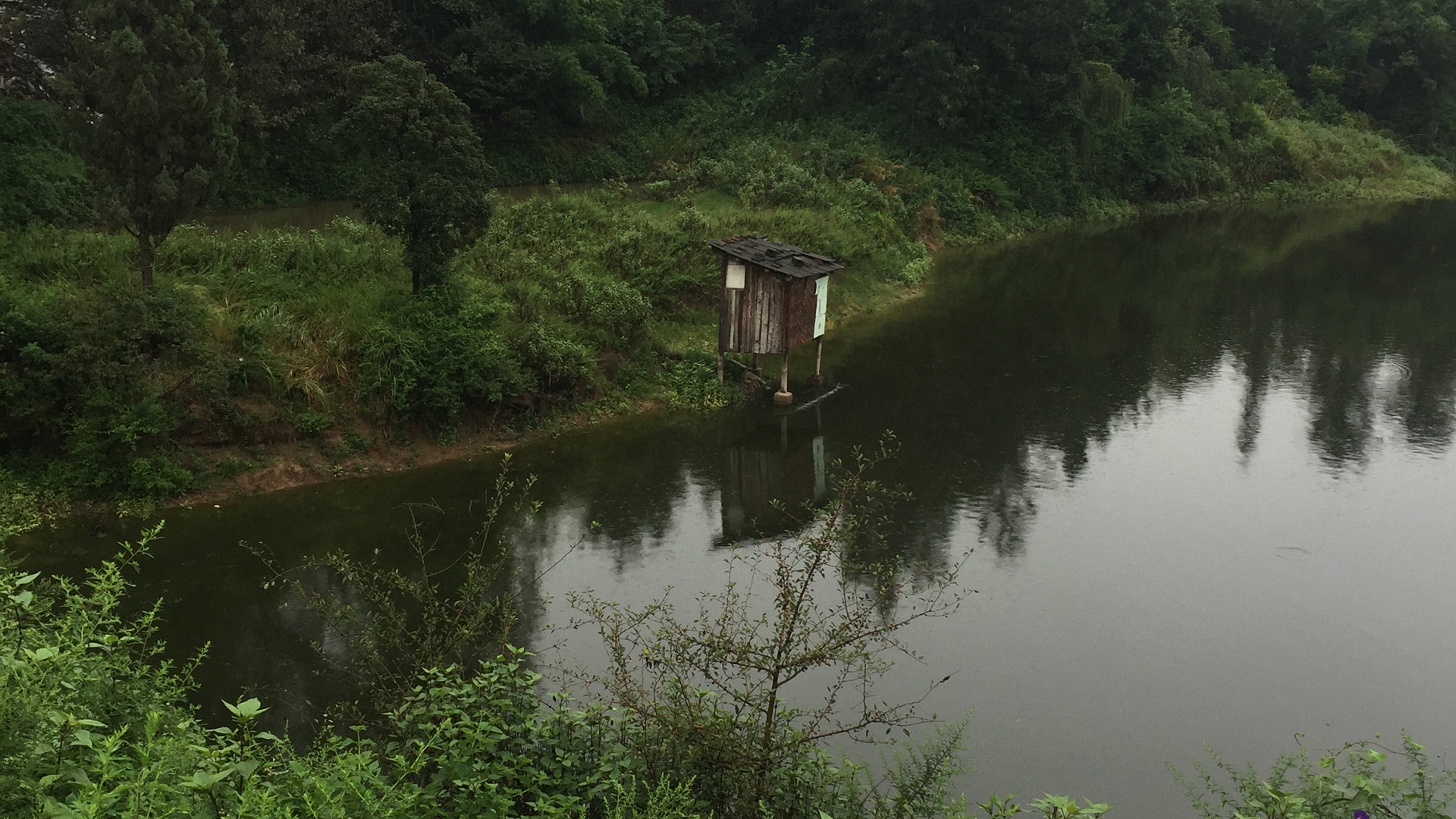 柳树桩水库