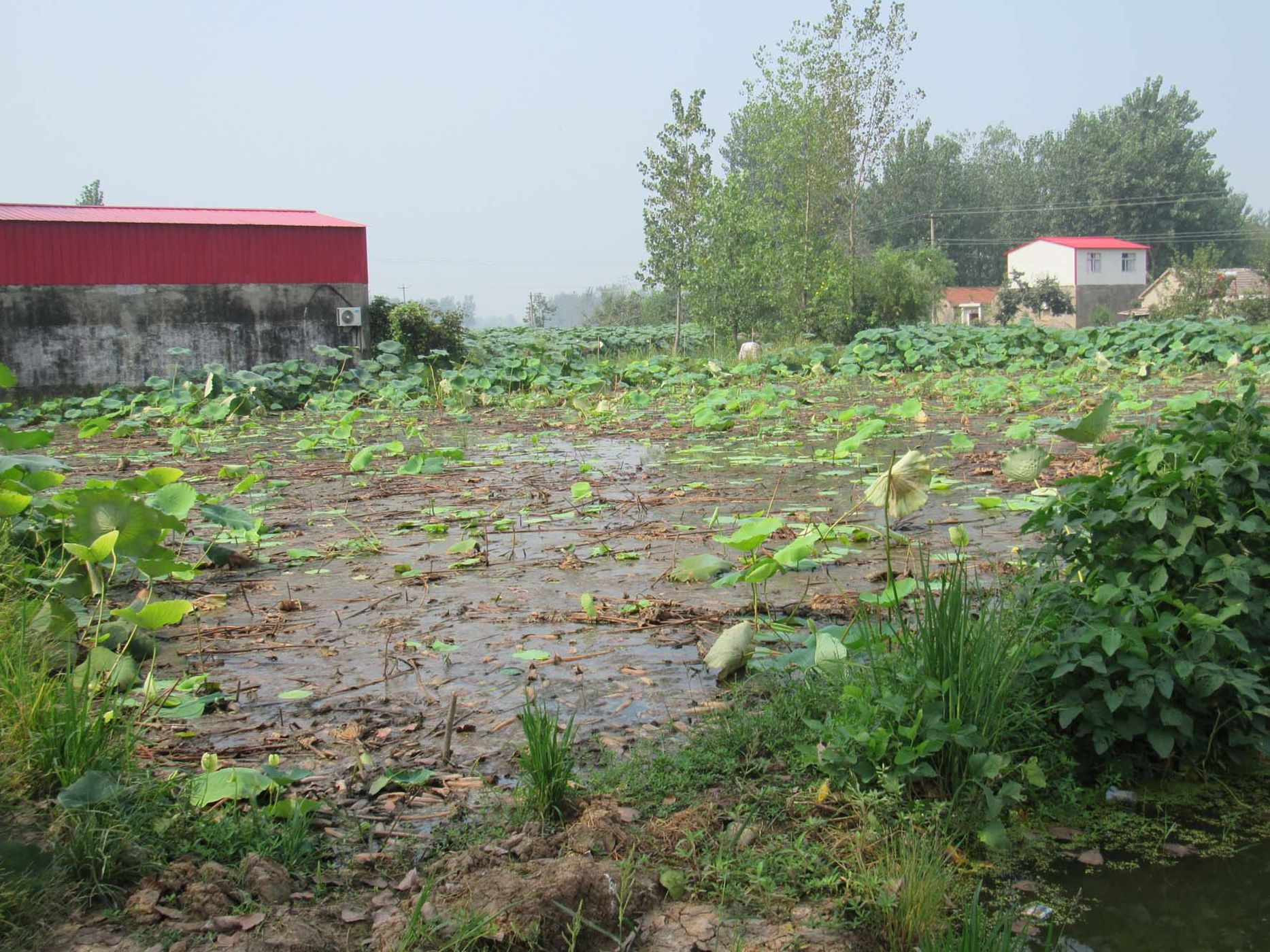 潘集超岗水库