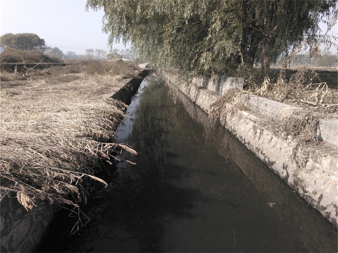 潞口河河口