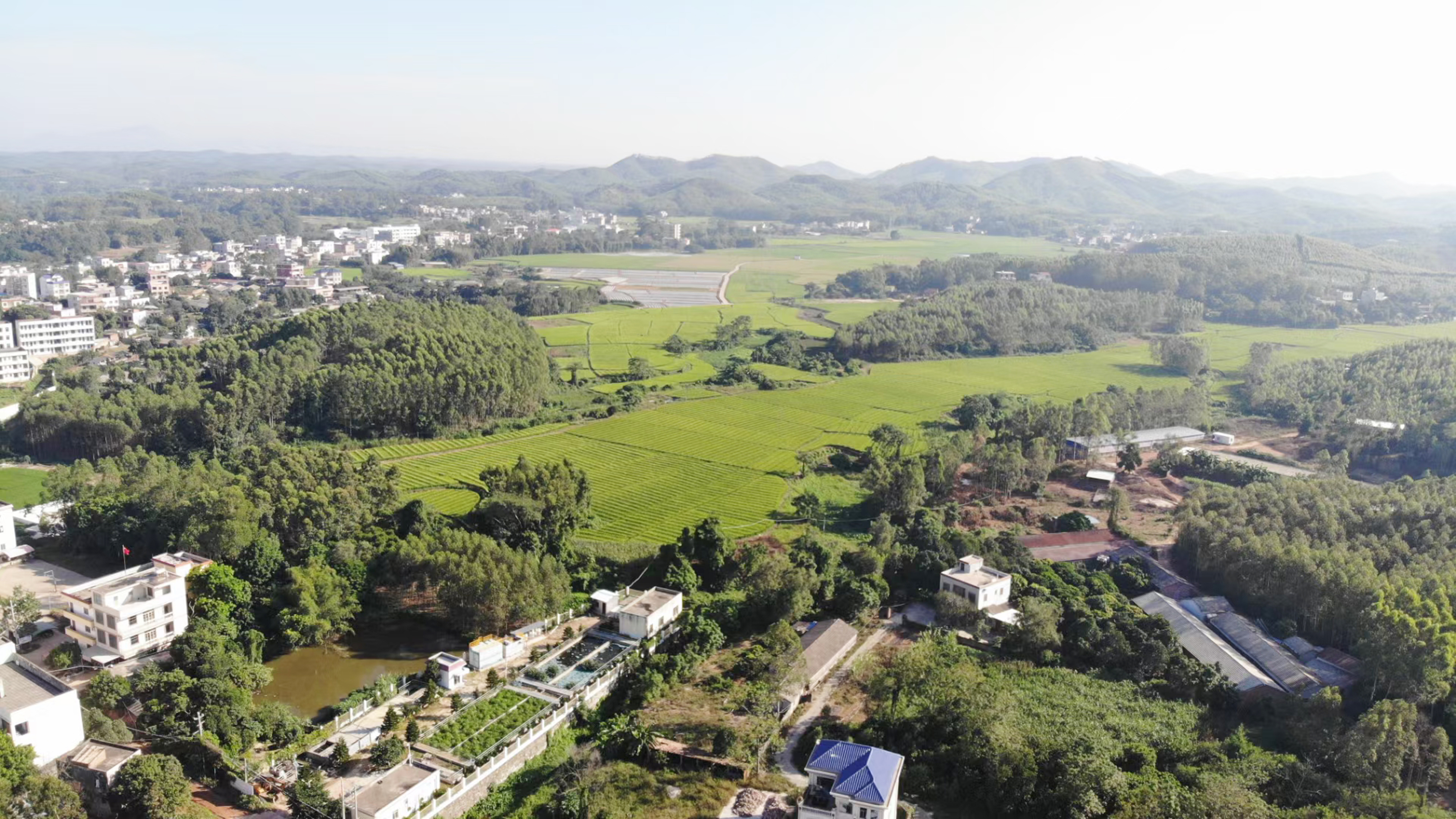 大坝镇