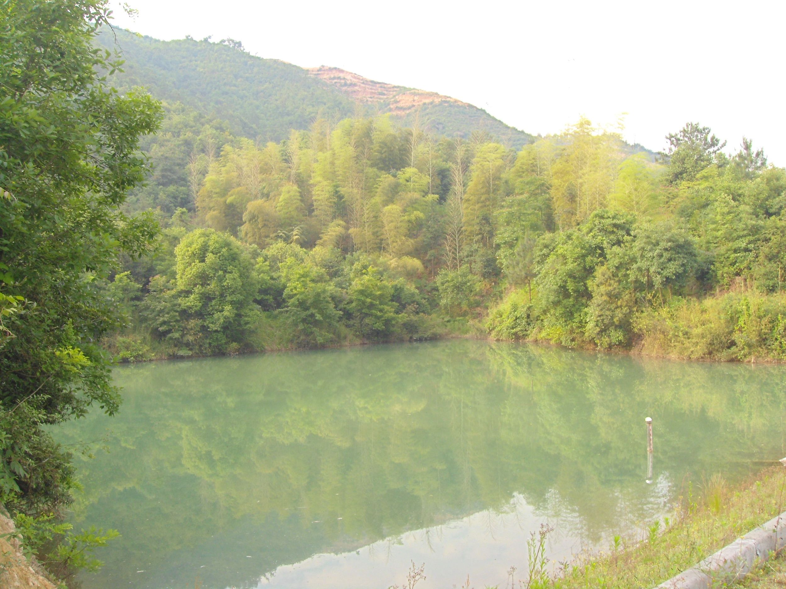 塘湾塘山塘水库