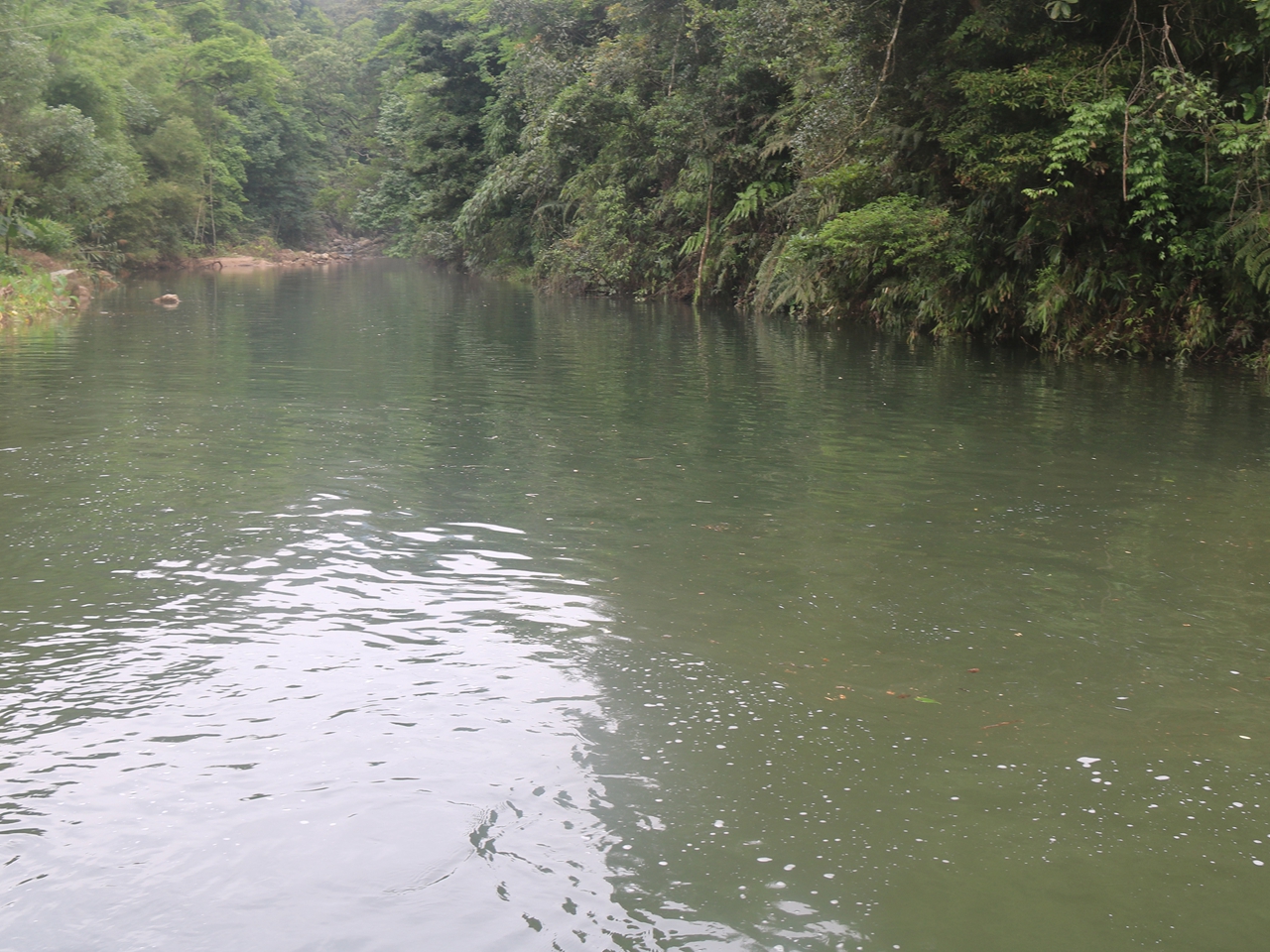 下牛洞水库