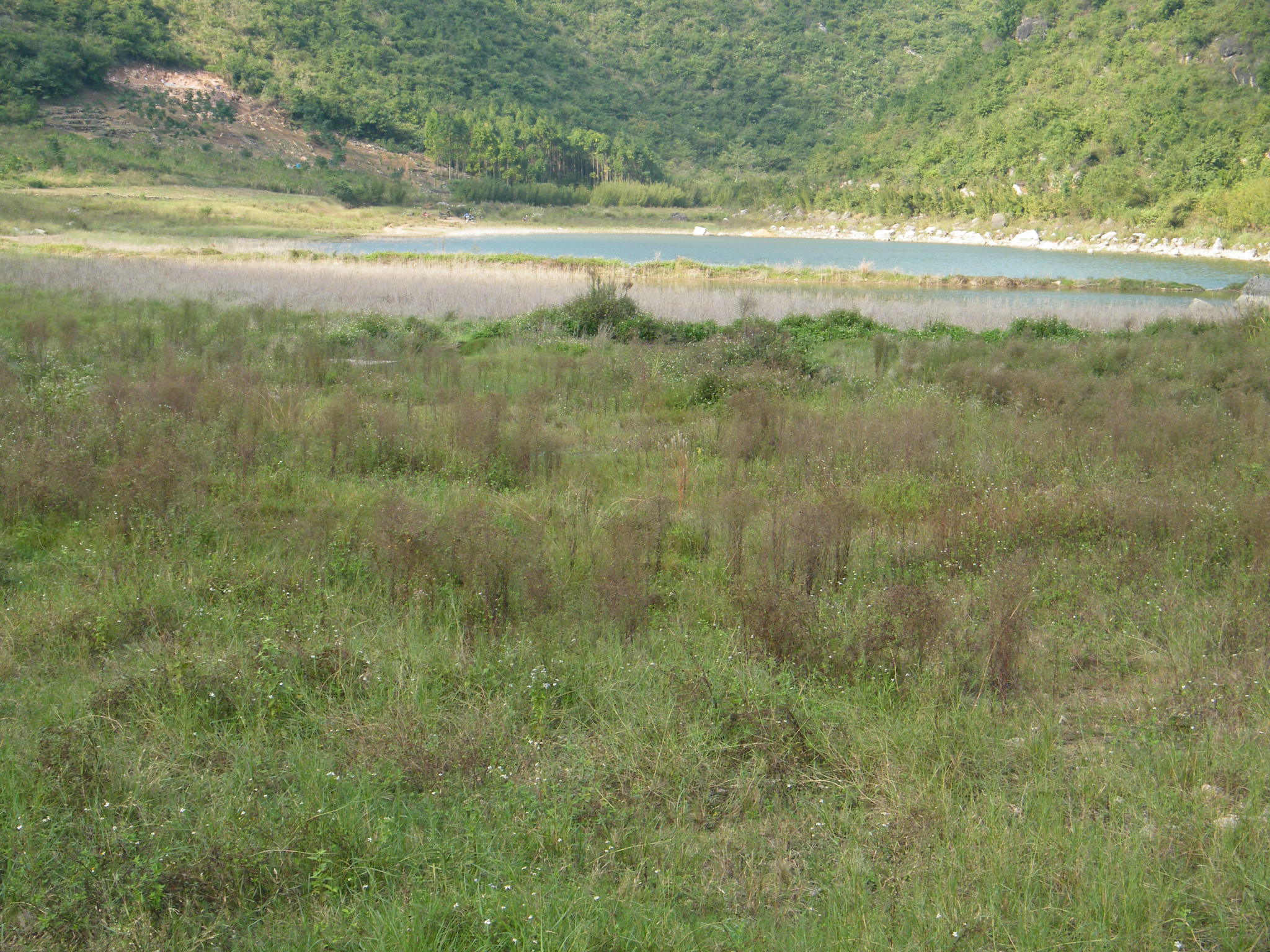 龙马水库