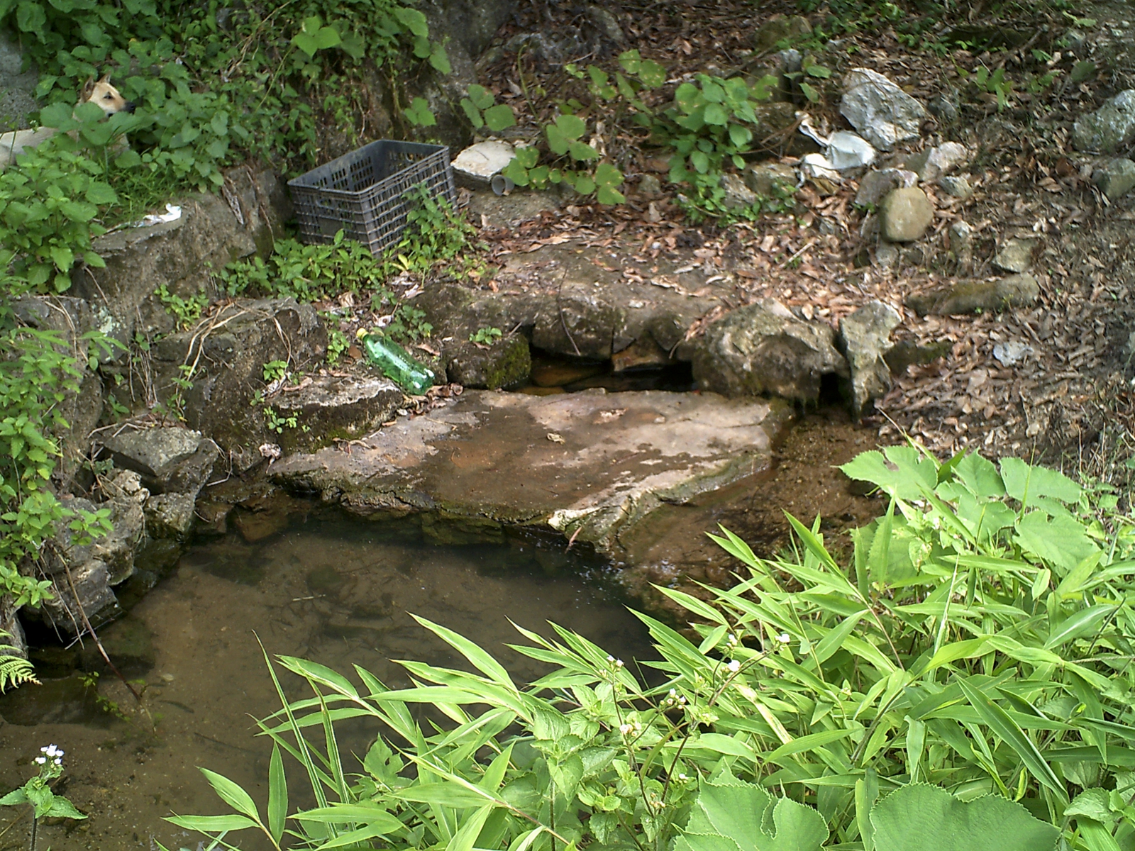 园艺场汶