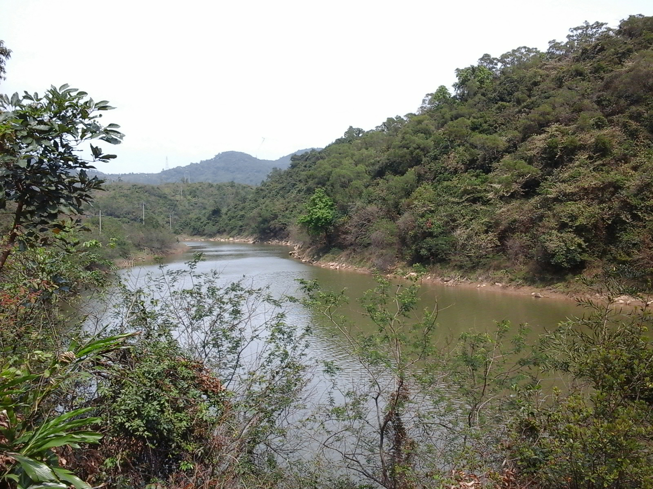 金山水库