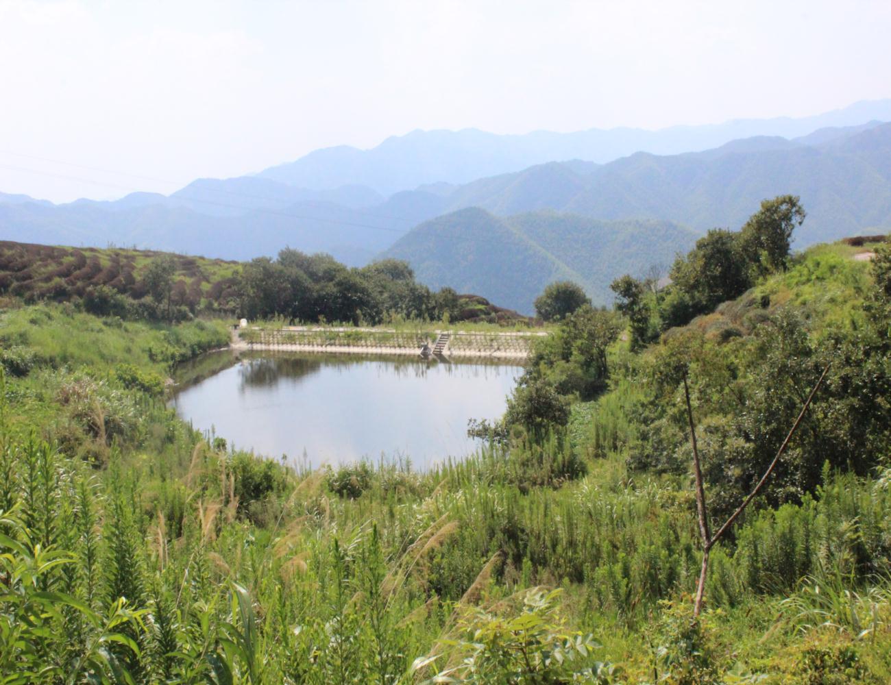 茅岗水库