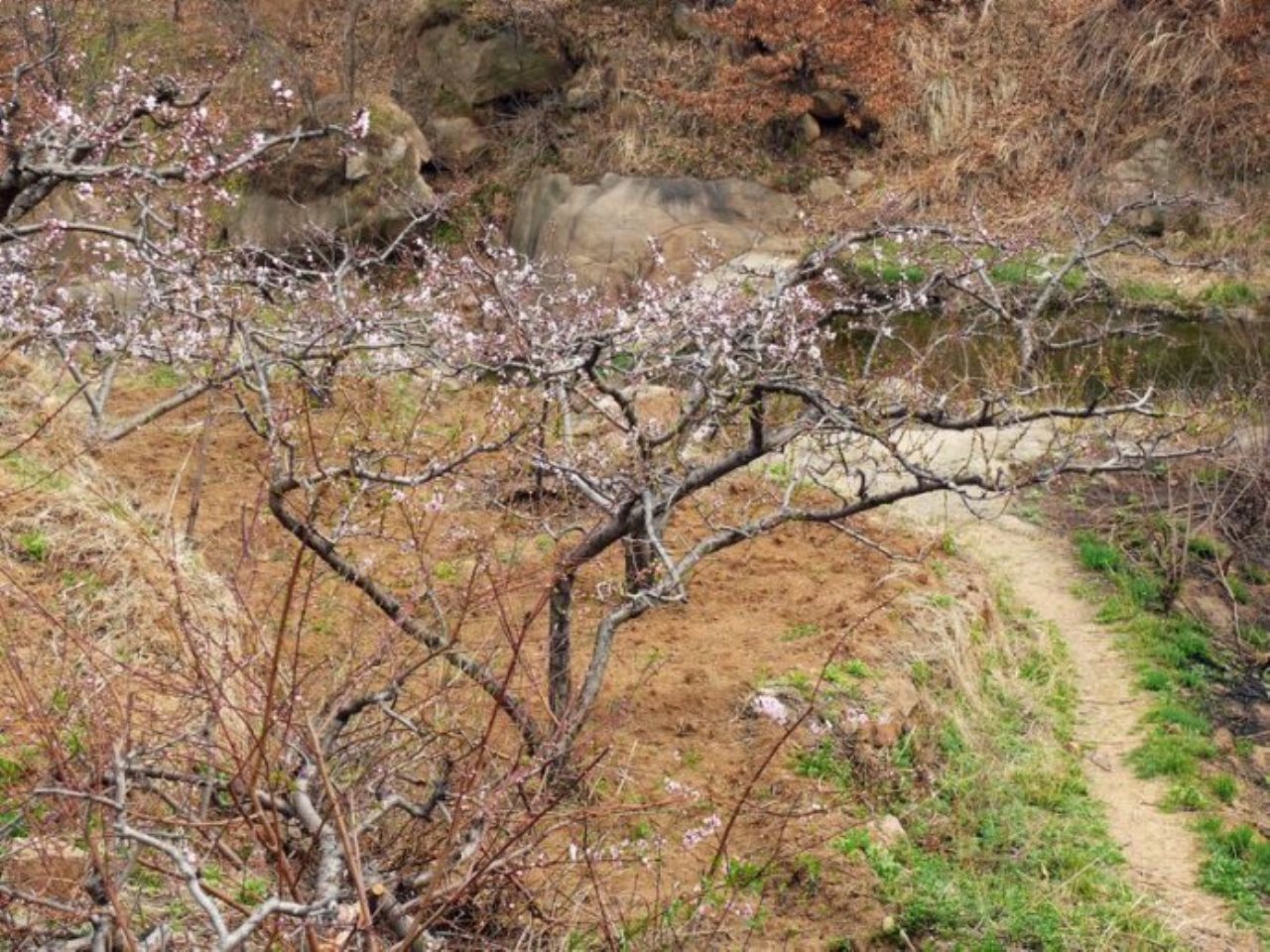 桃花溪旅游风景区