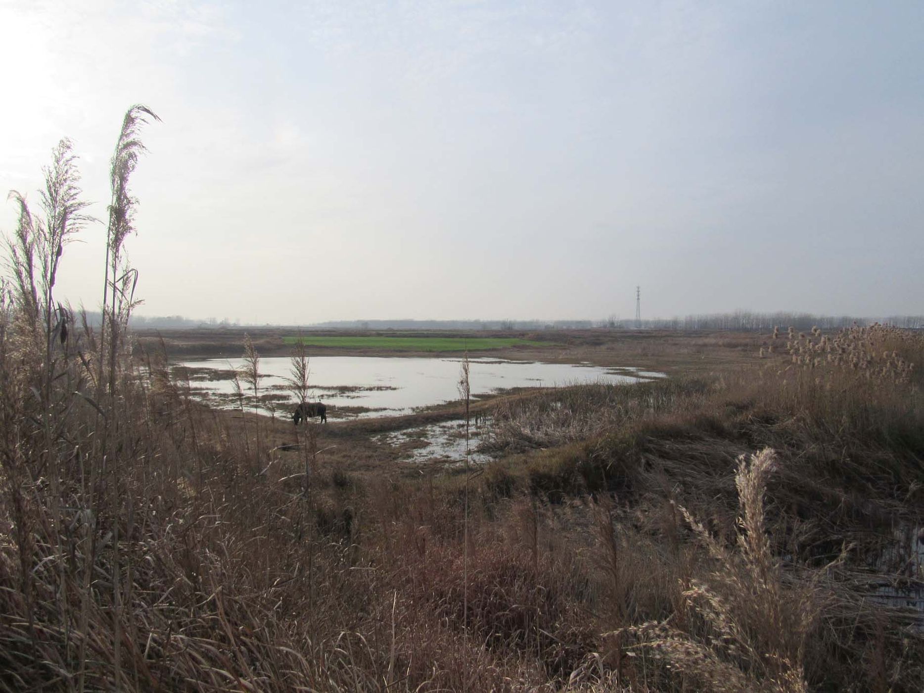 连环坝水库