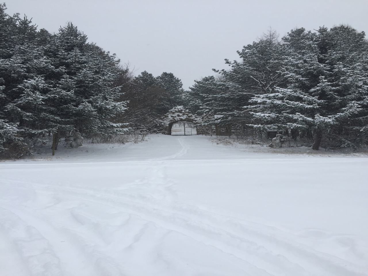 乌龙国家森林公园