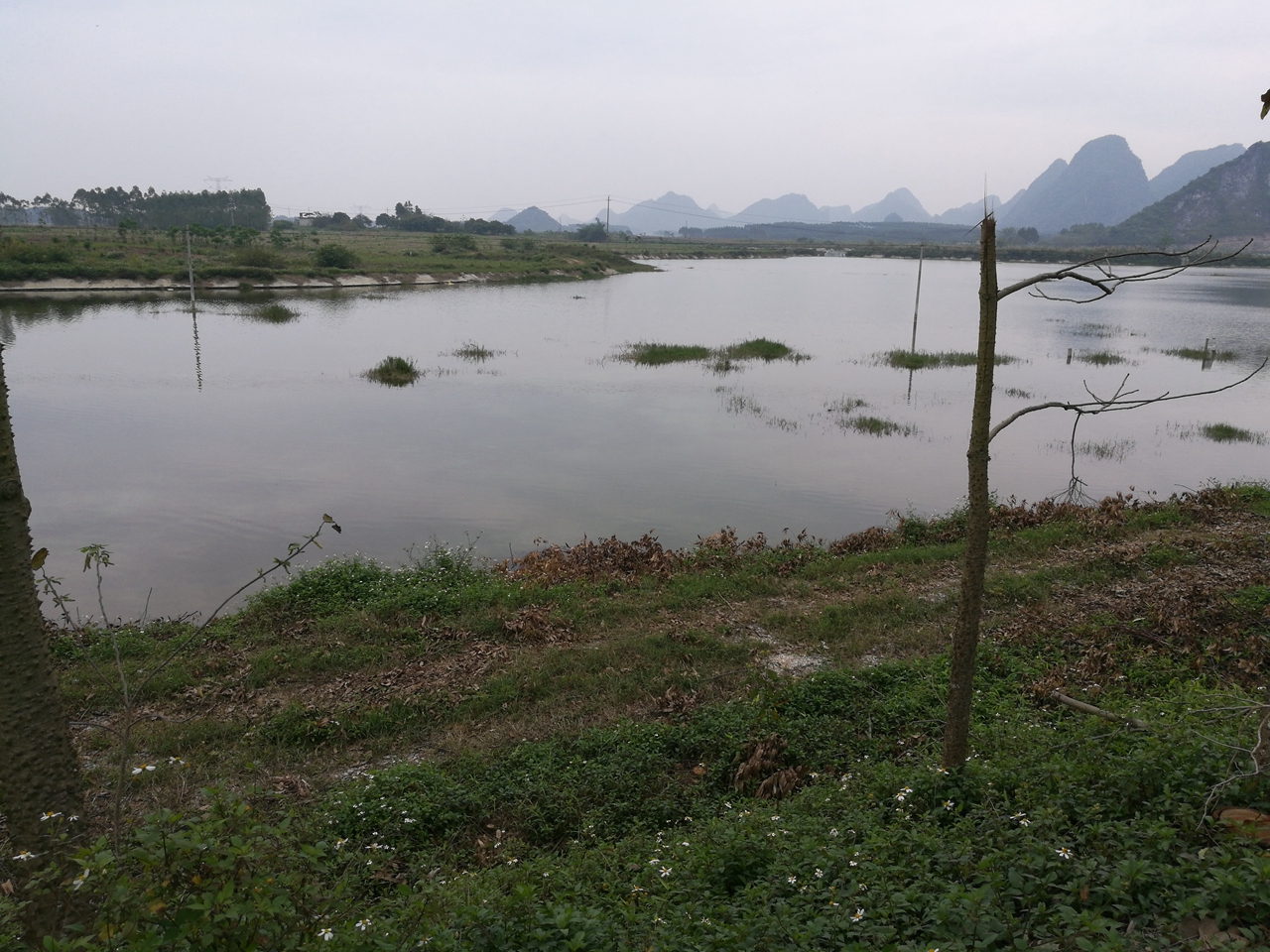 新陆村北渡水库