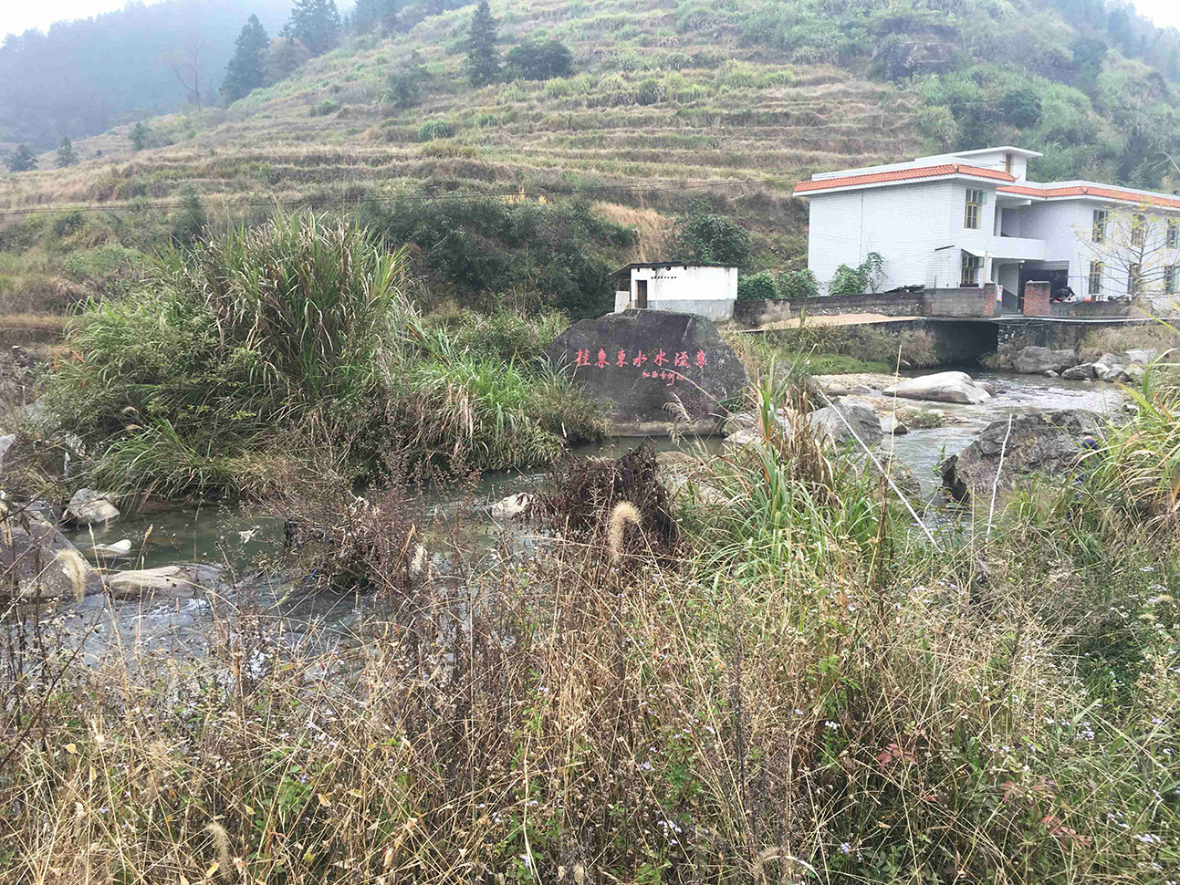 桂东东水水东流