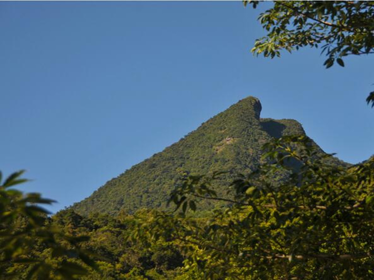 鹦哥岭自然保护区