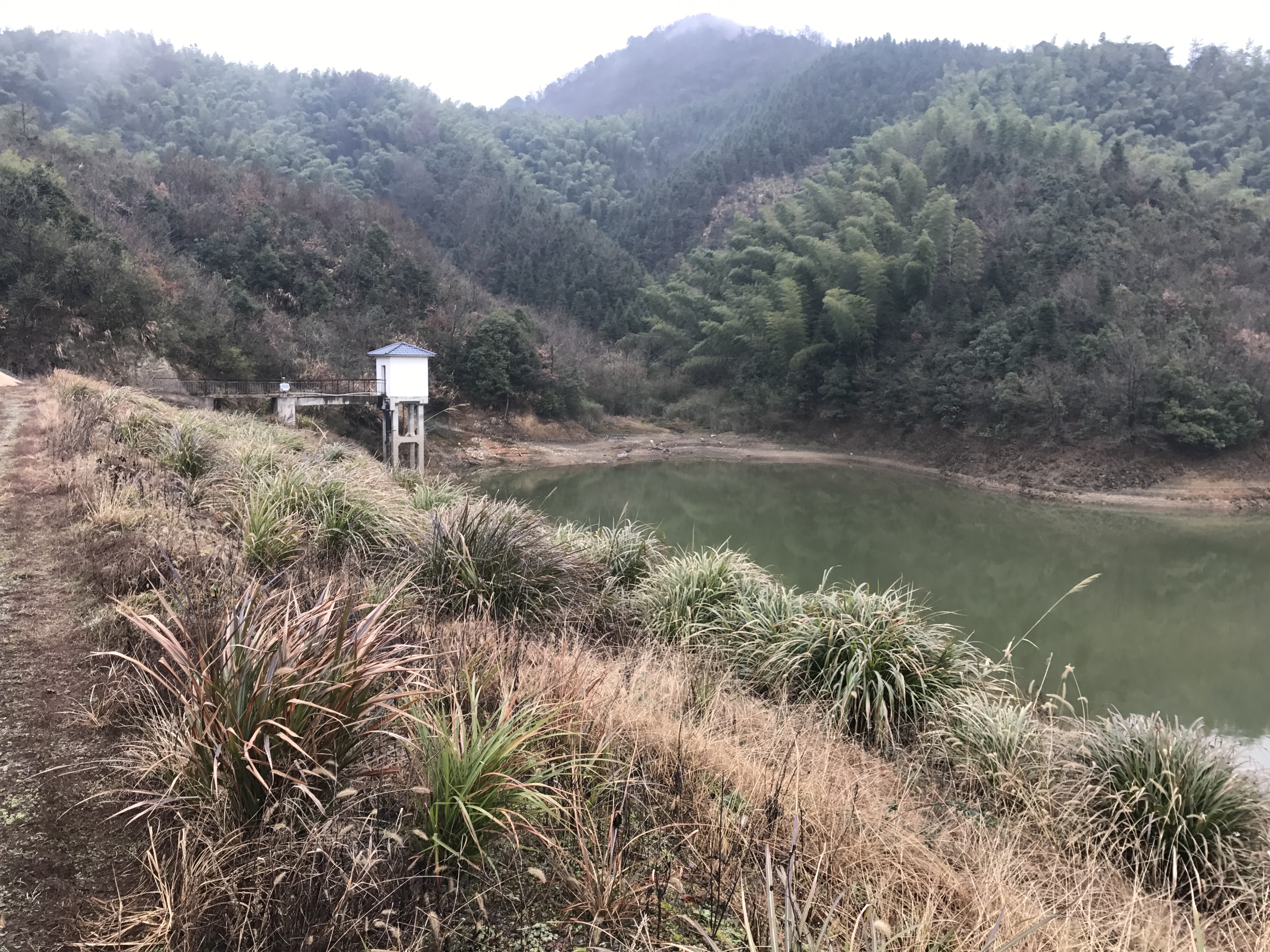 张家山水库