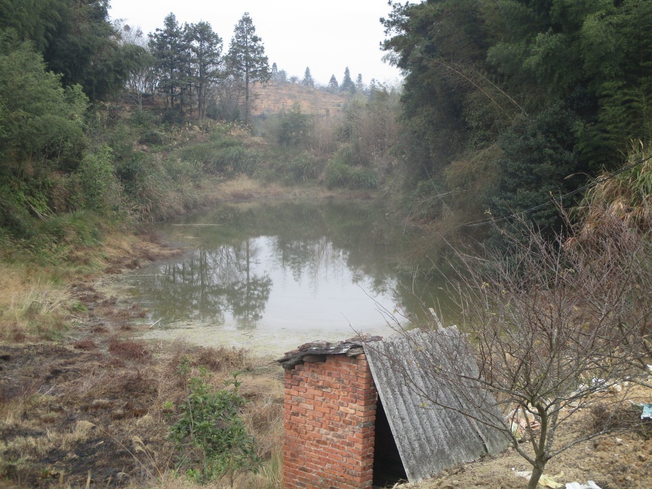 三丘田水库