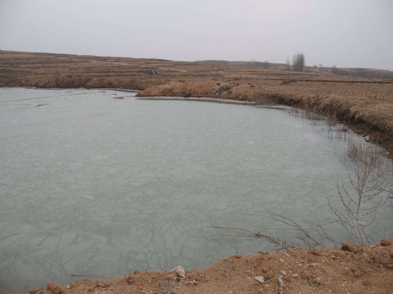 柳家沟水库