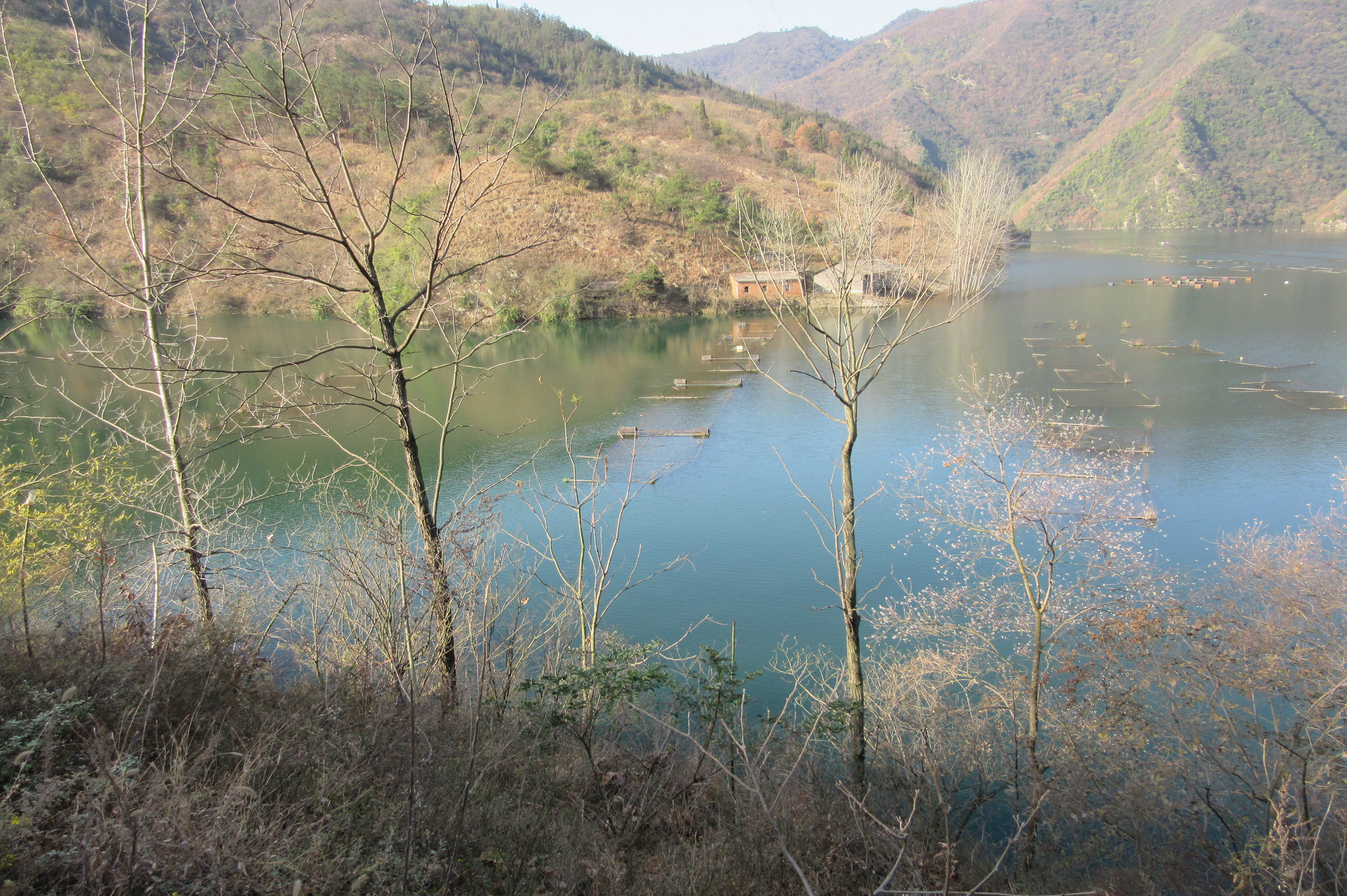 苎麻河湾