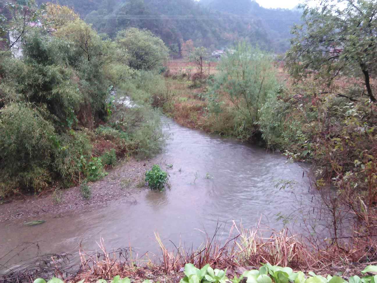 湖家冲河河口