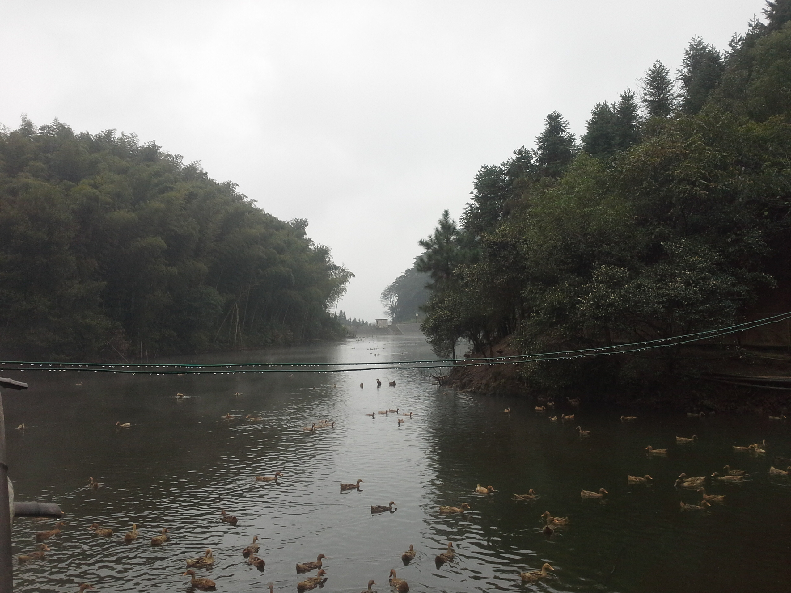 黎木岭水库