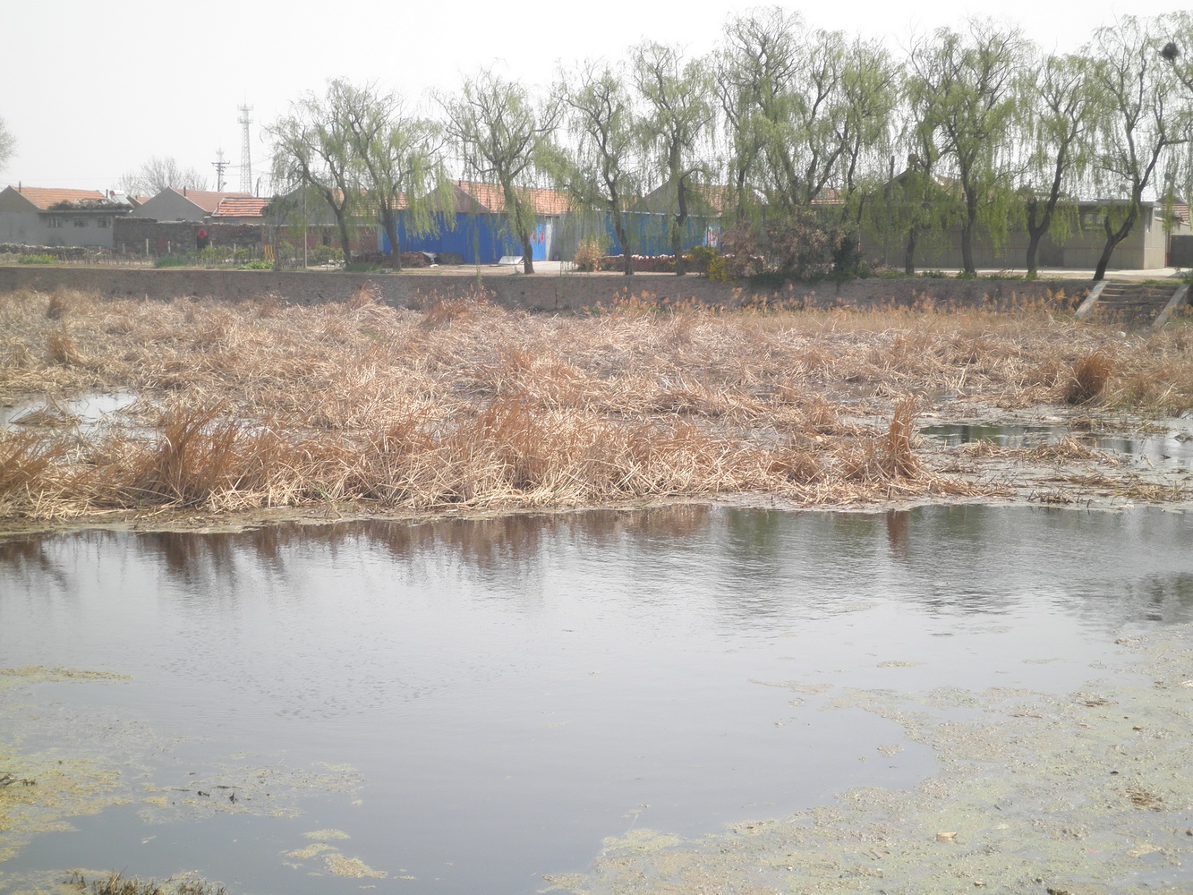 金家水库