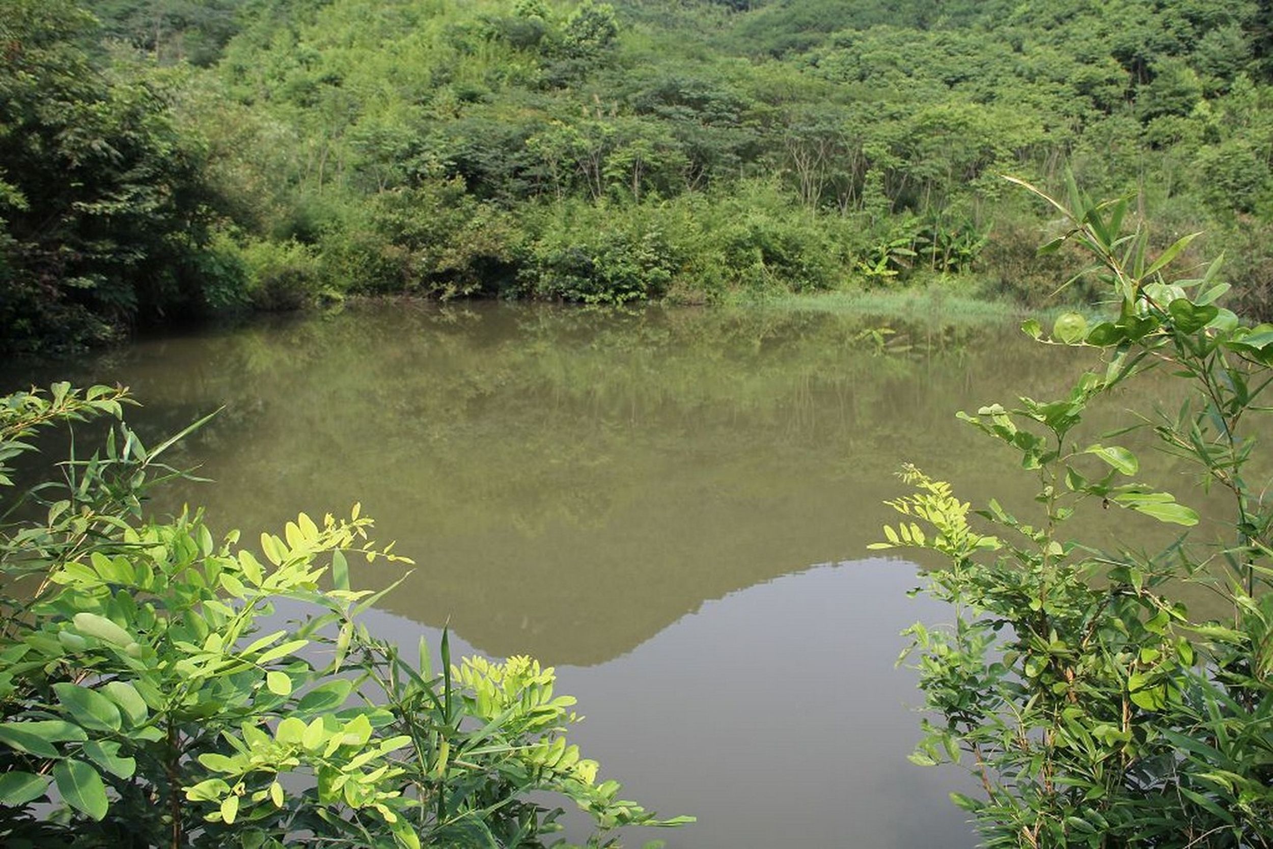 芝烂坞山塘水库