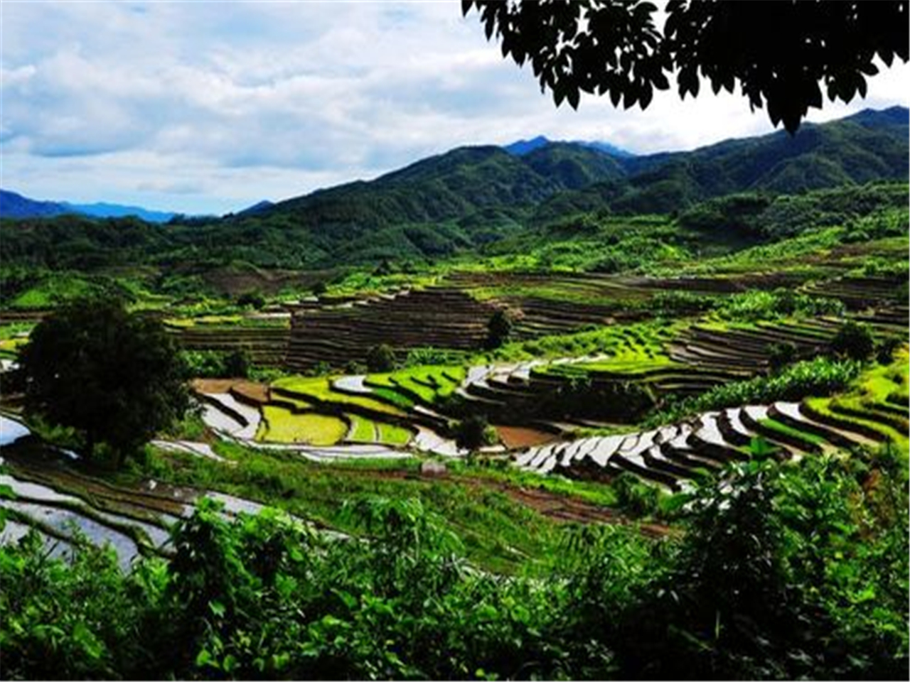 五指山牙胡梯田