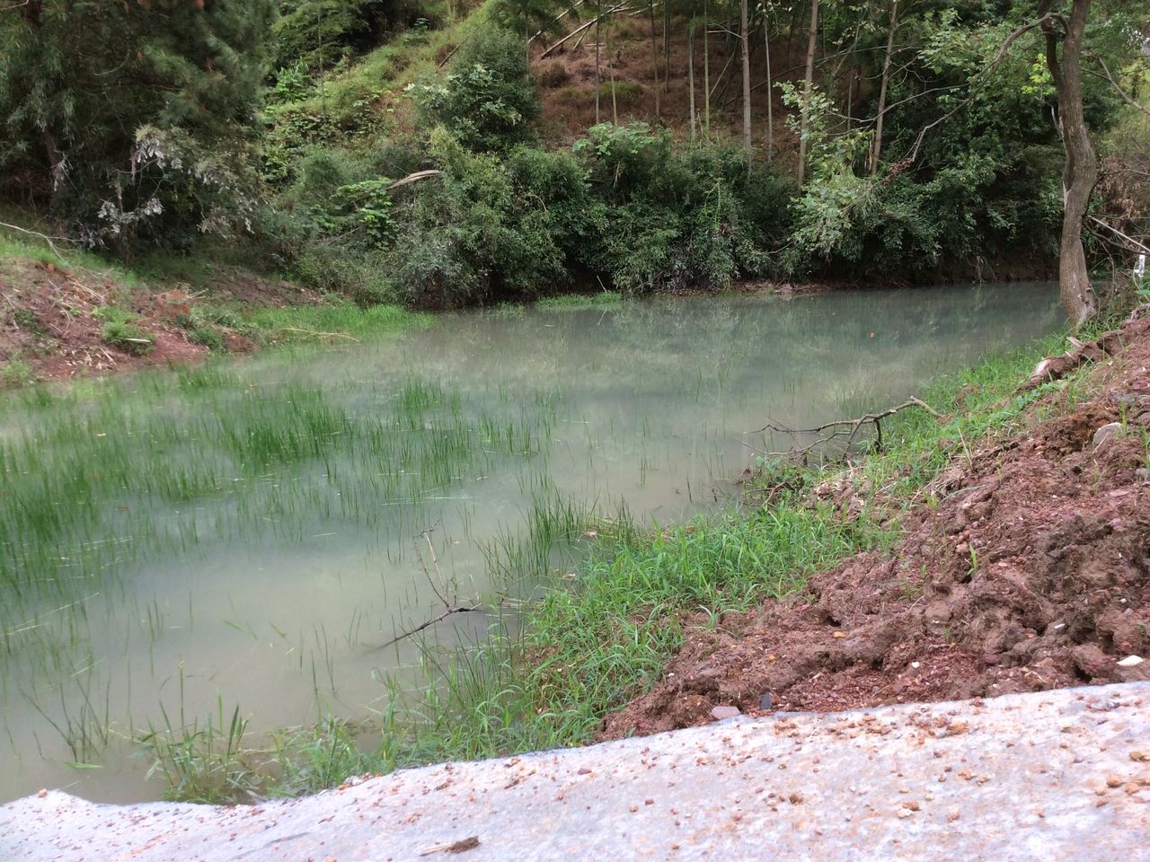 大地湾山塘