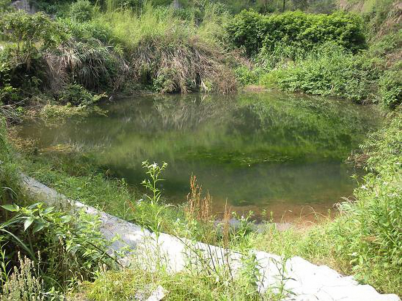 水龙泵温泉