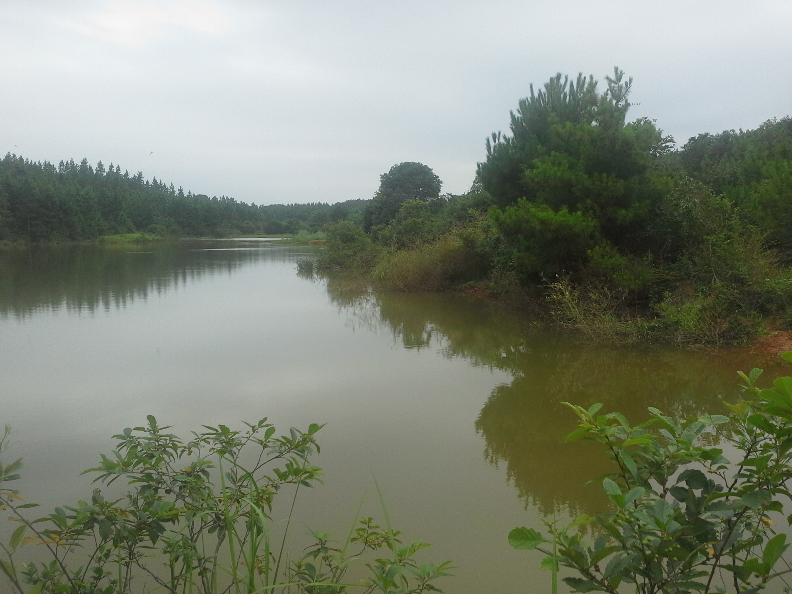 李家坞水库