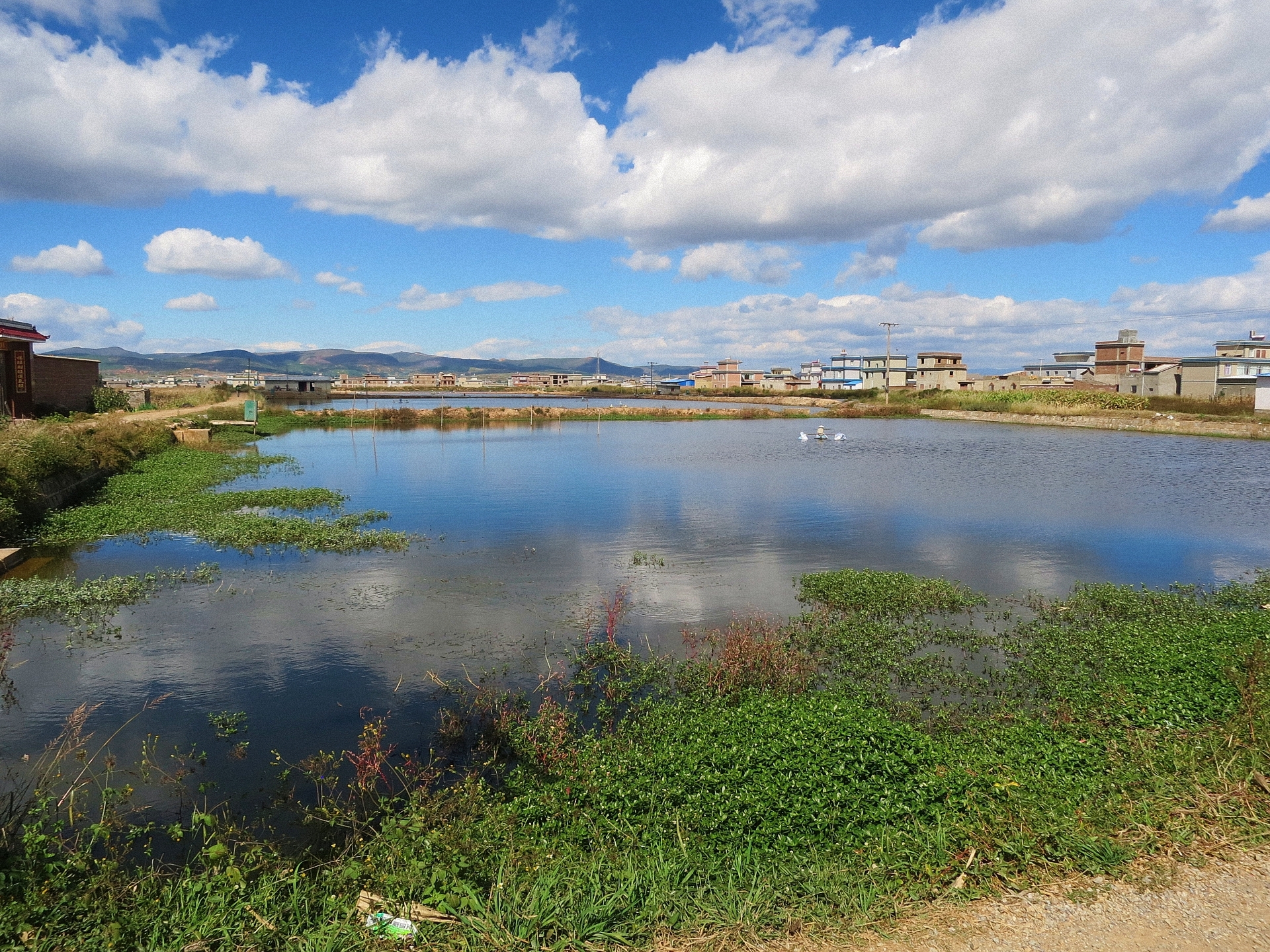 鱼进王大海水库