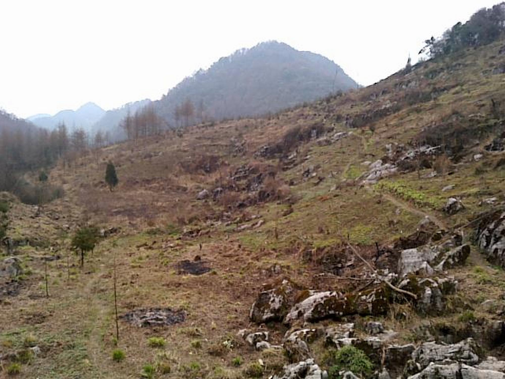 四川观雾山自然保护区