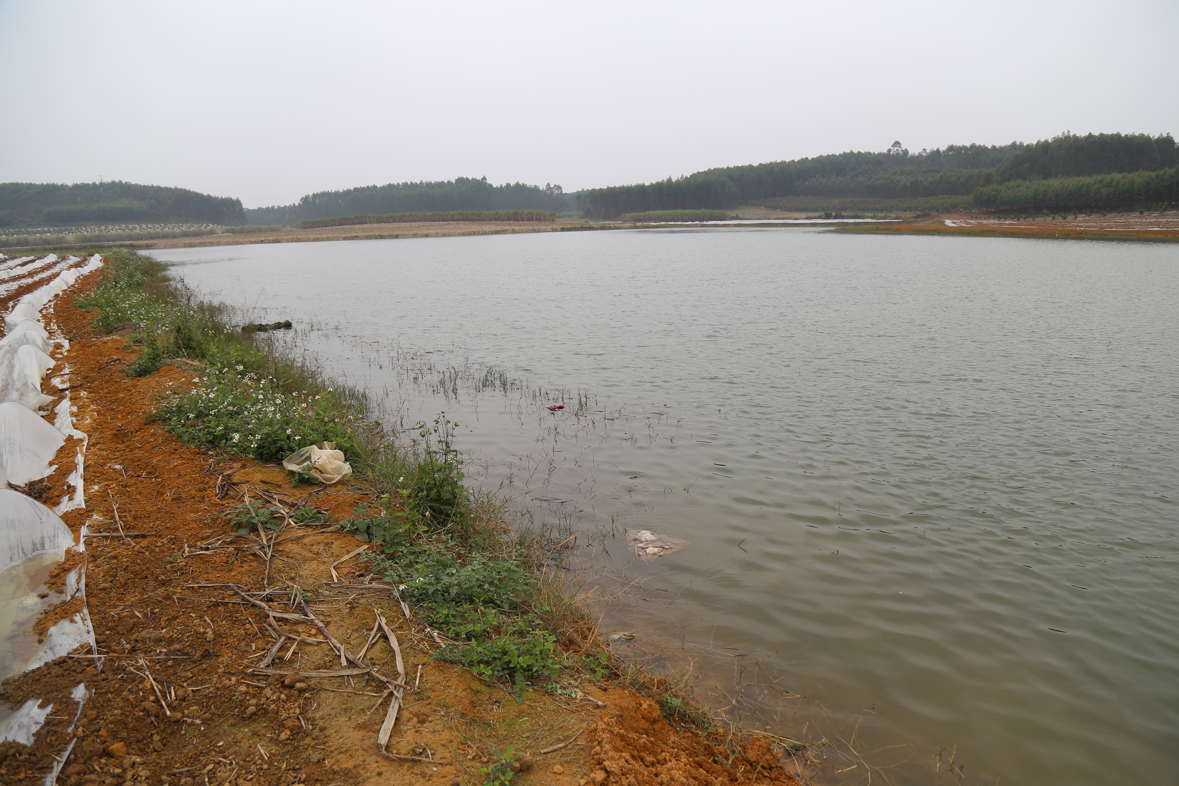 那隆水库