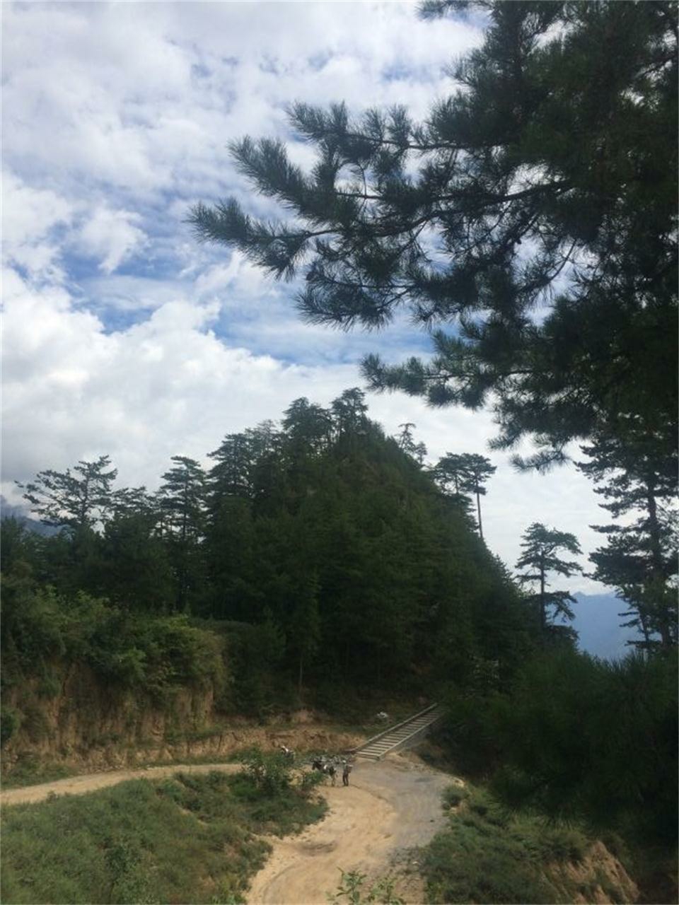 翠峰山国家AA级景区