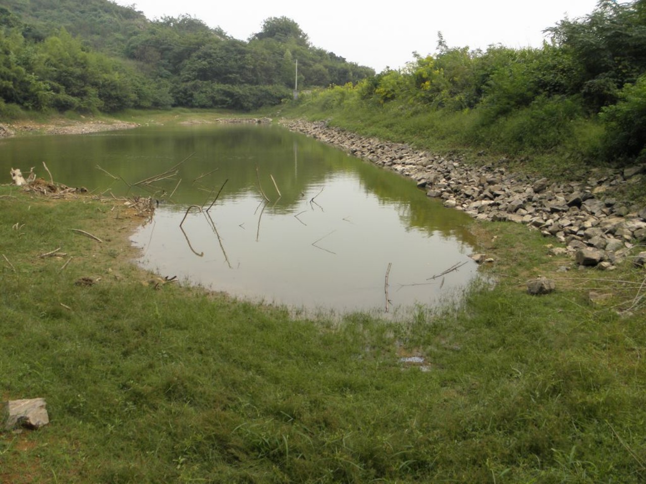 新荒地岙里山塘