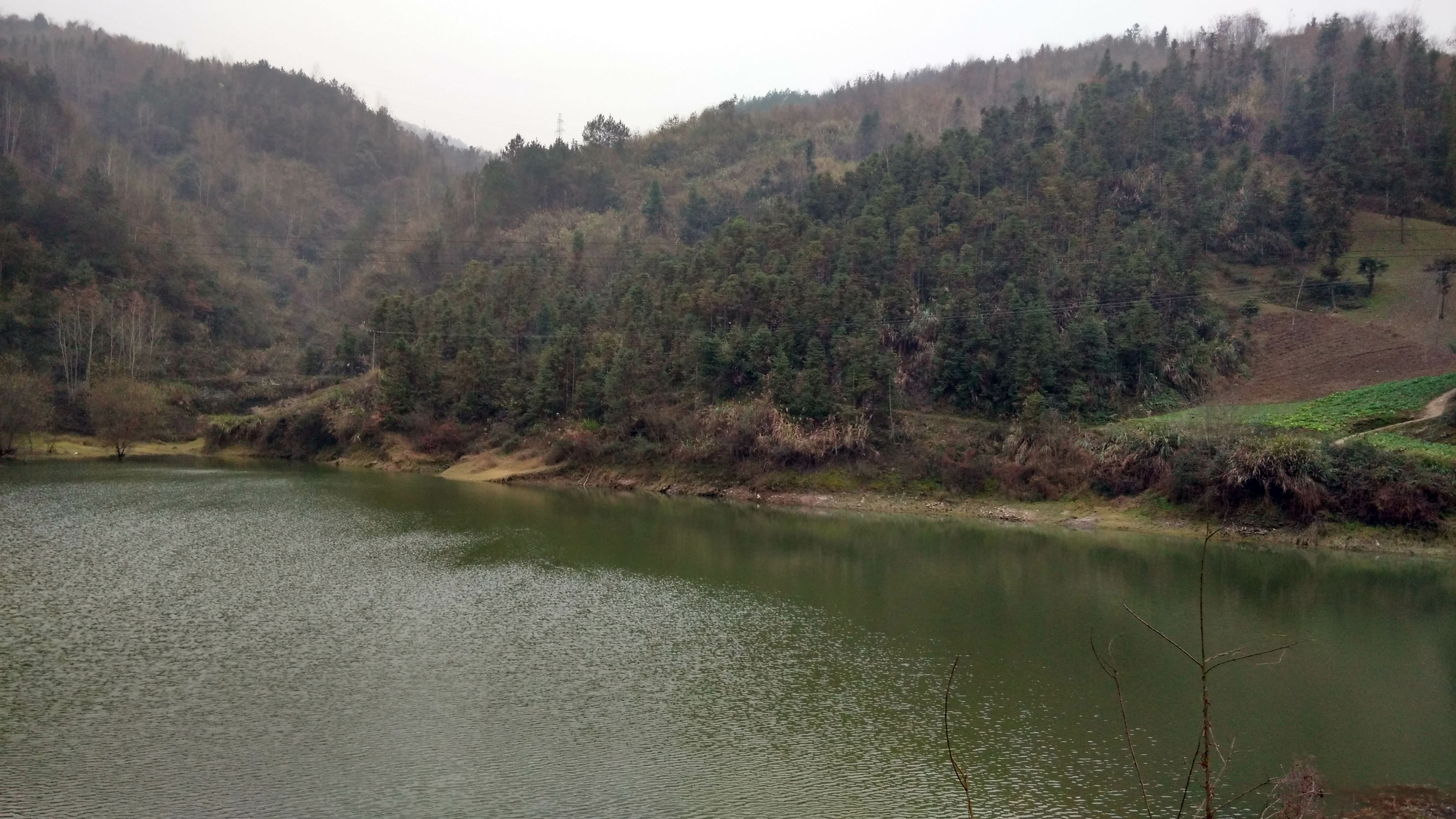 油坊沟水库