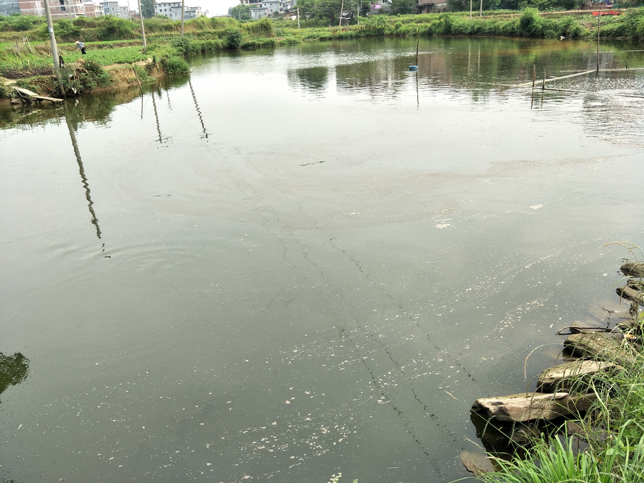 高岭水库