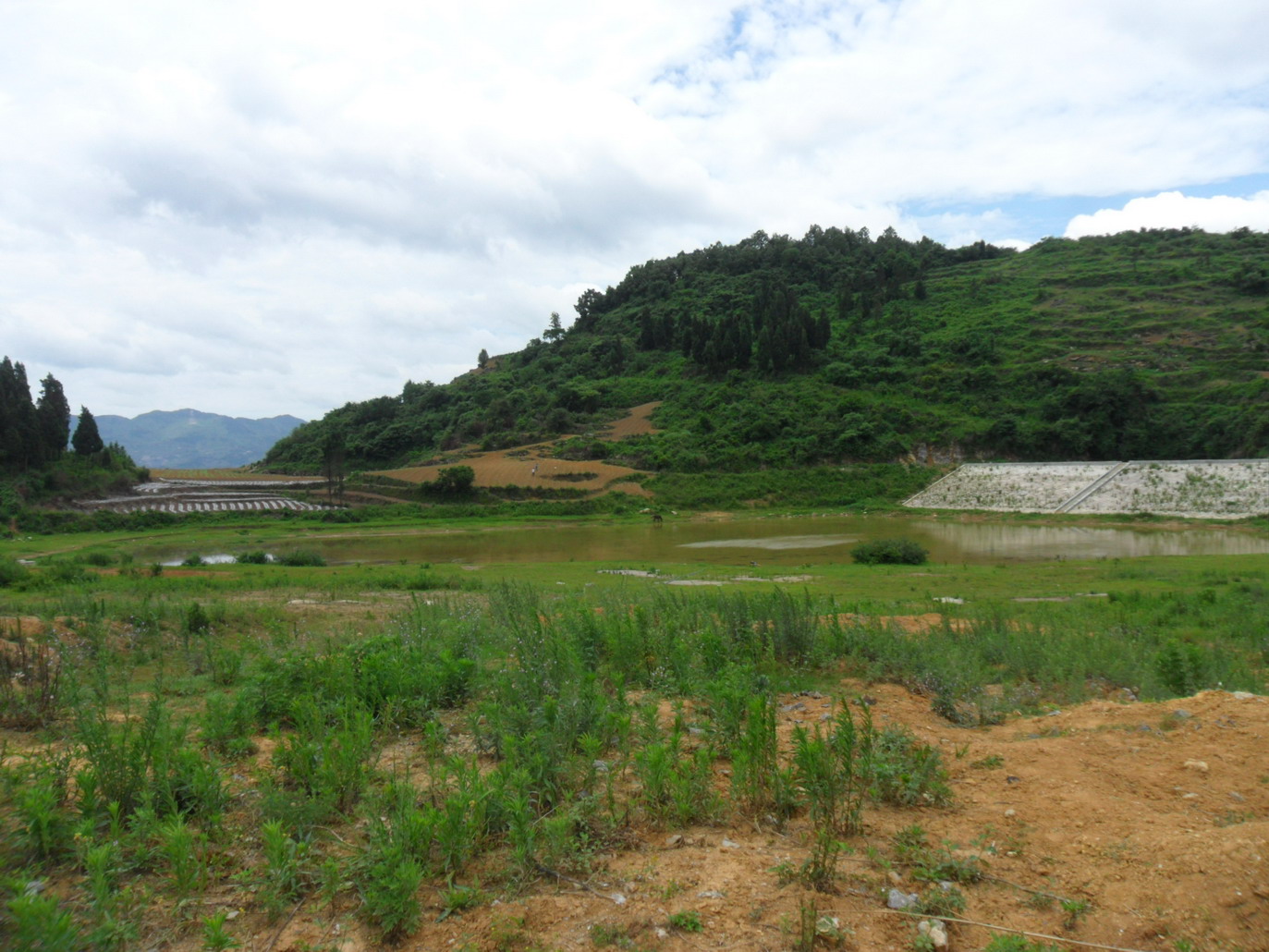 苍莆田水库